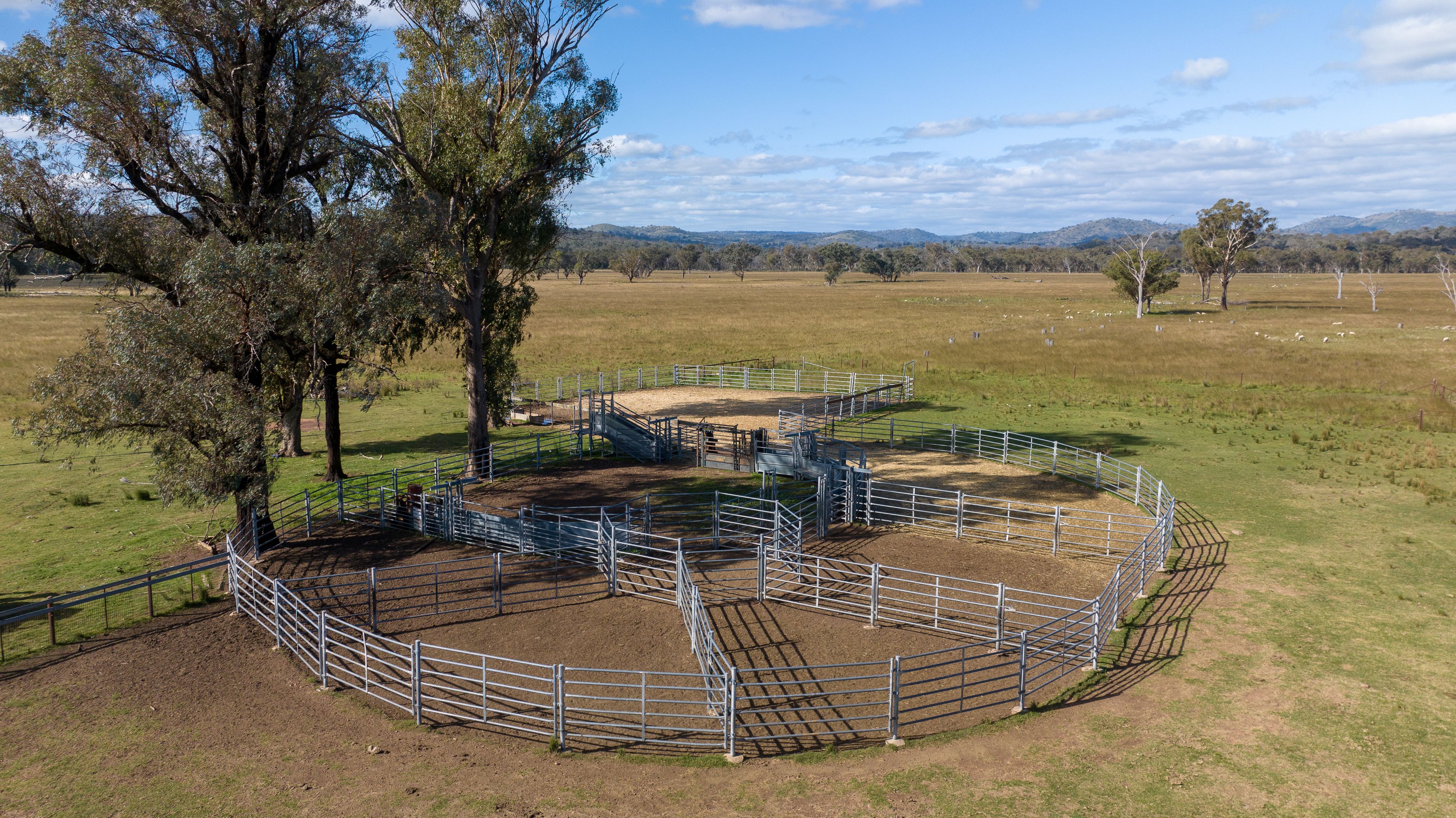5309 Thunderbolts Way, Abington, NSW 2350