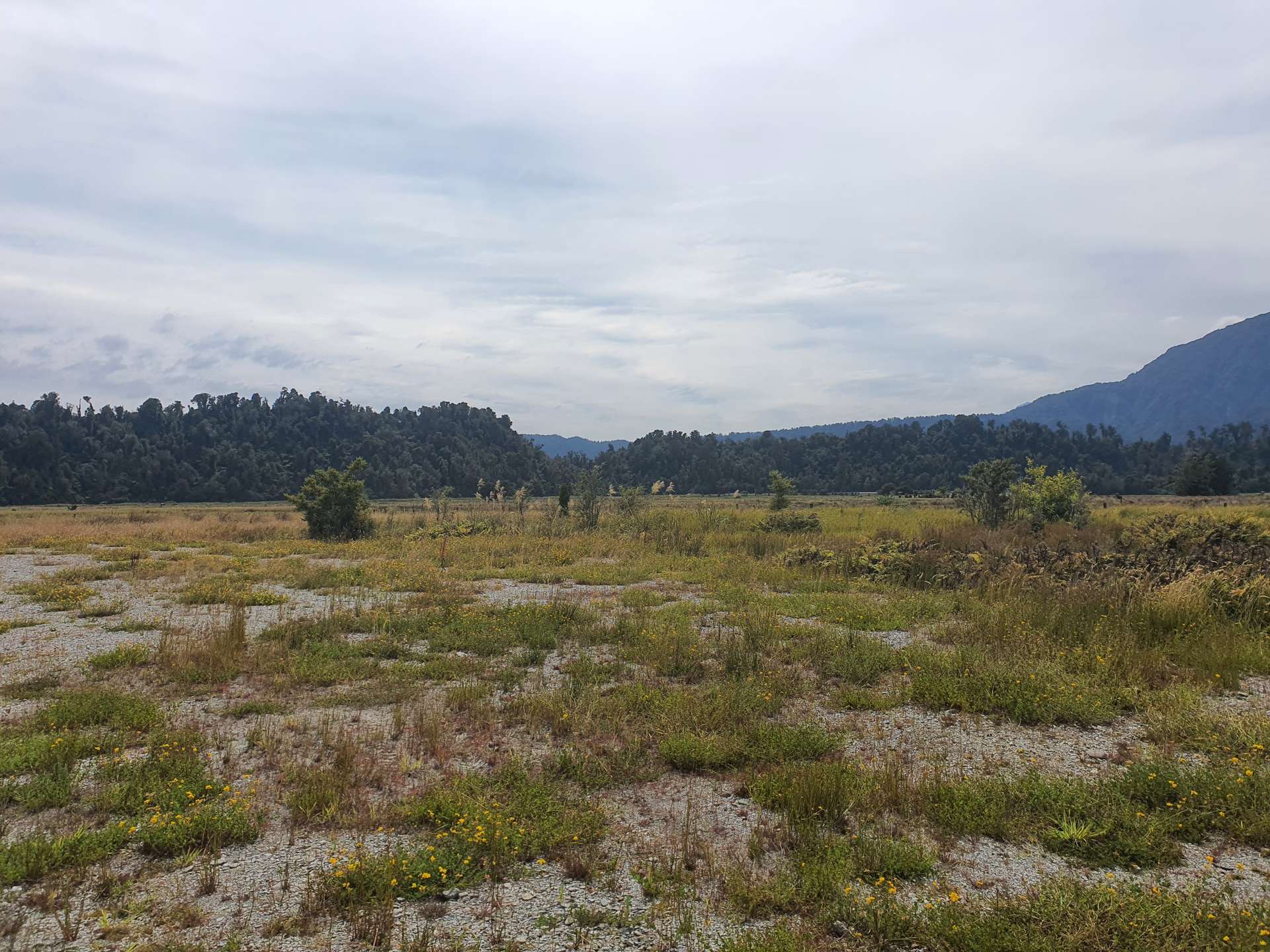 Lot 1 State Highway 6, Tatare photo 4