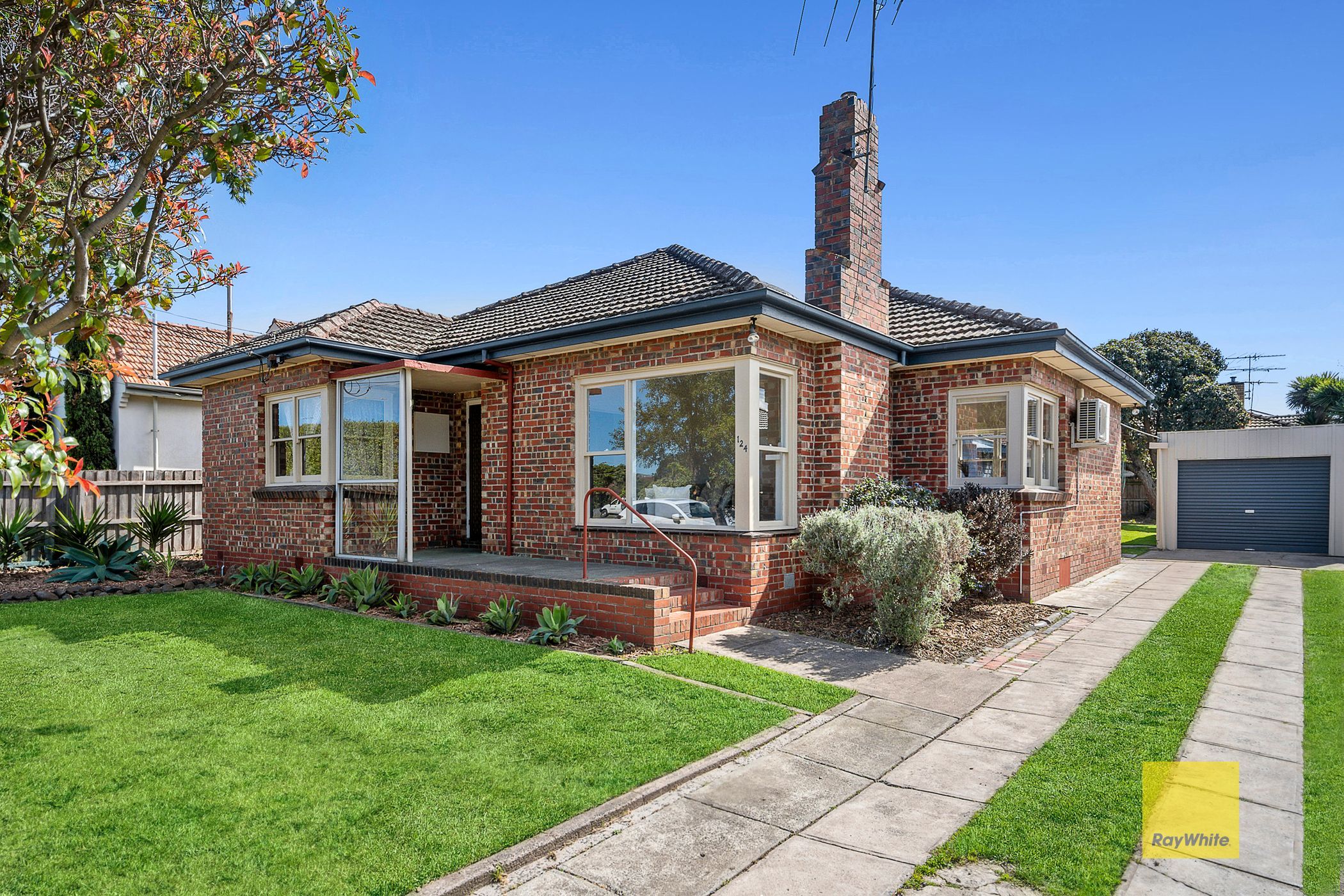 124 Settlement Road, Belmont, VIC 3216 Sold House Ray White Highton
