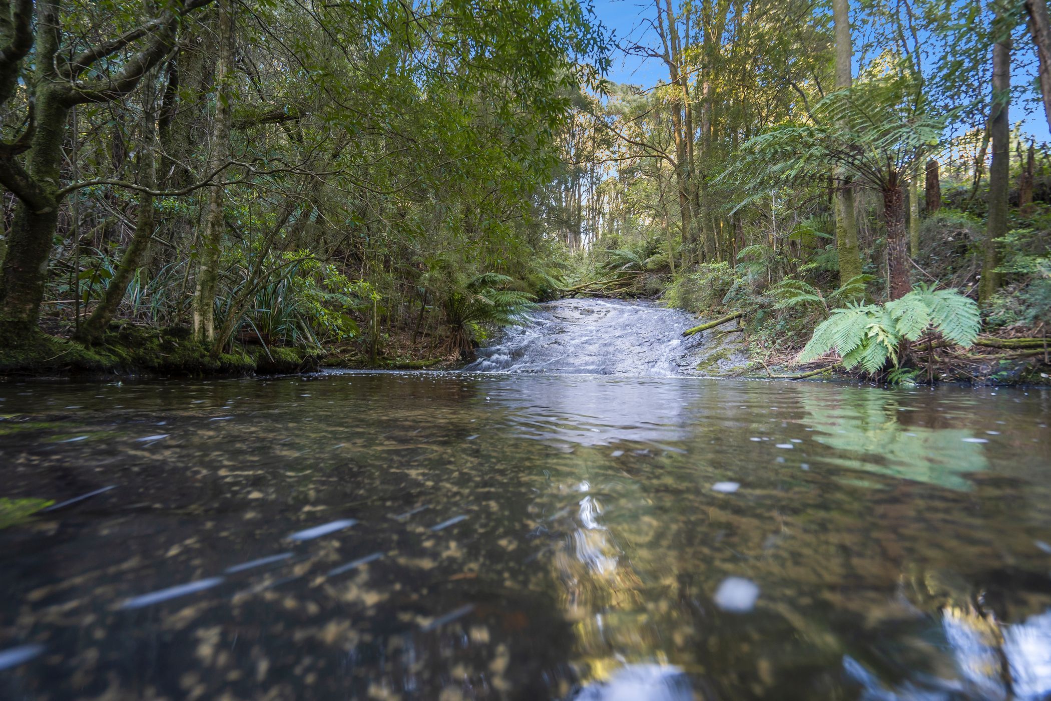 260 Amiets Road, Wyelangta, VIC 3237