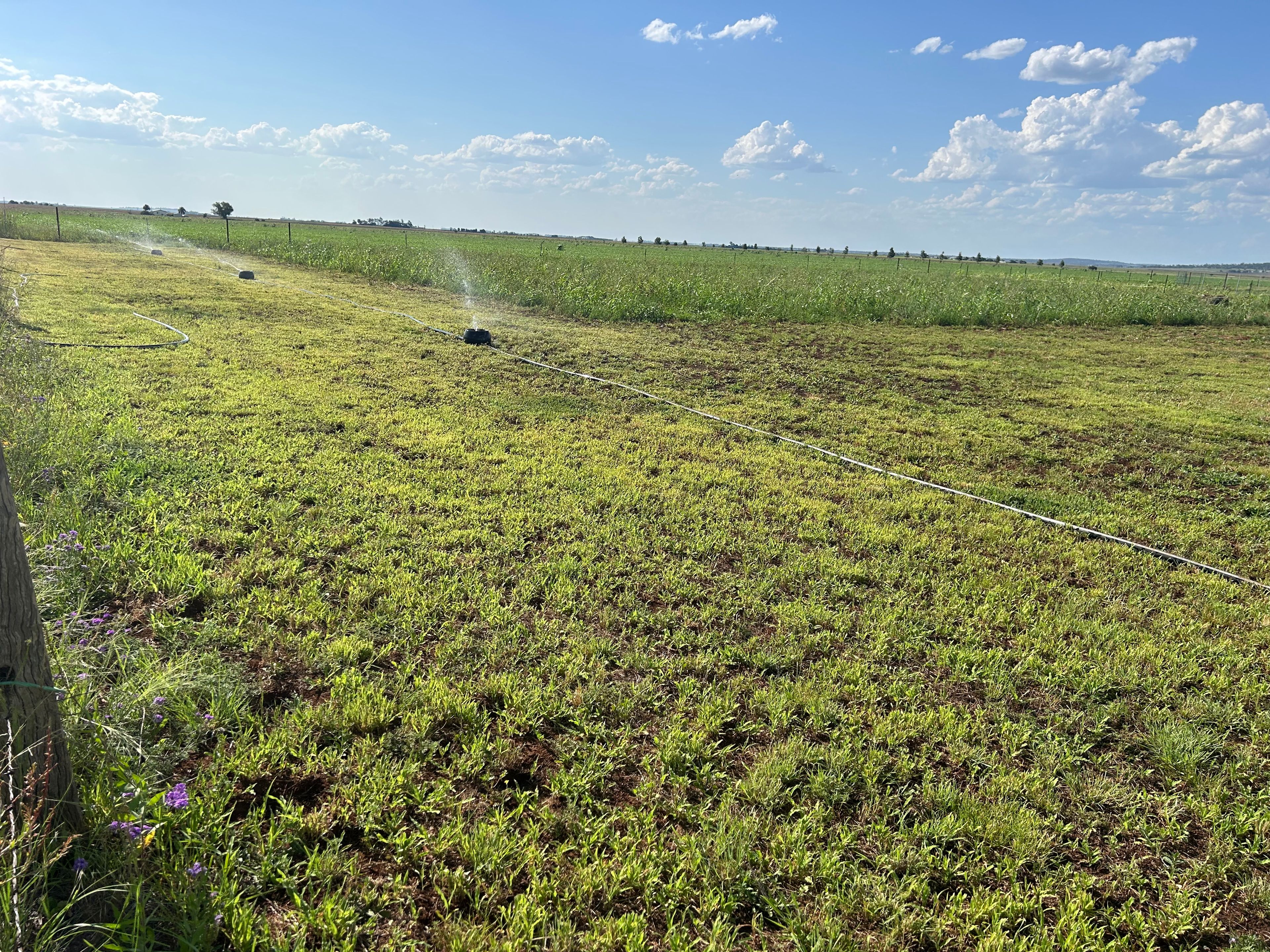 601 Woodview School Road, Aubigny, QLD 4401