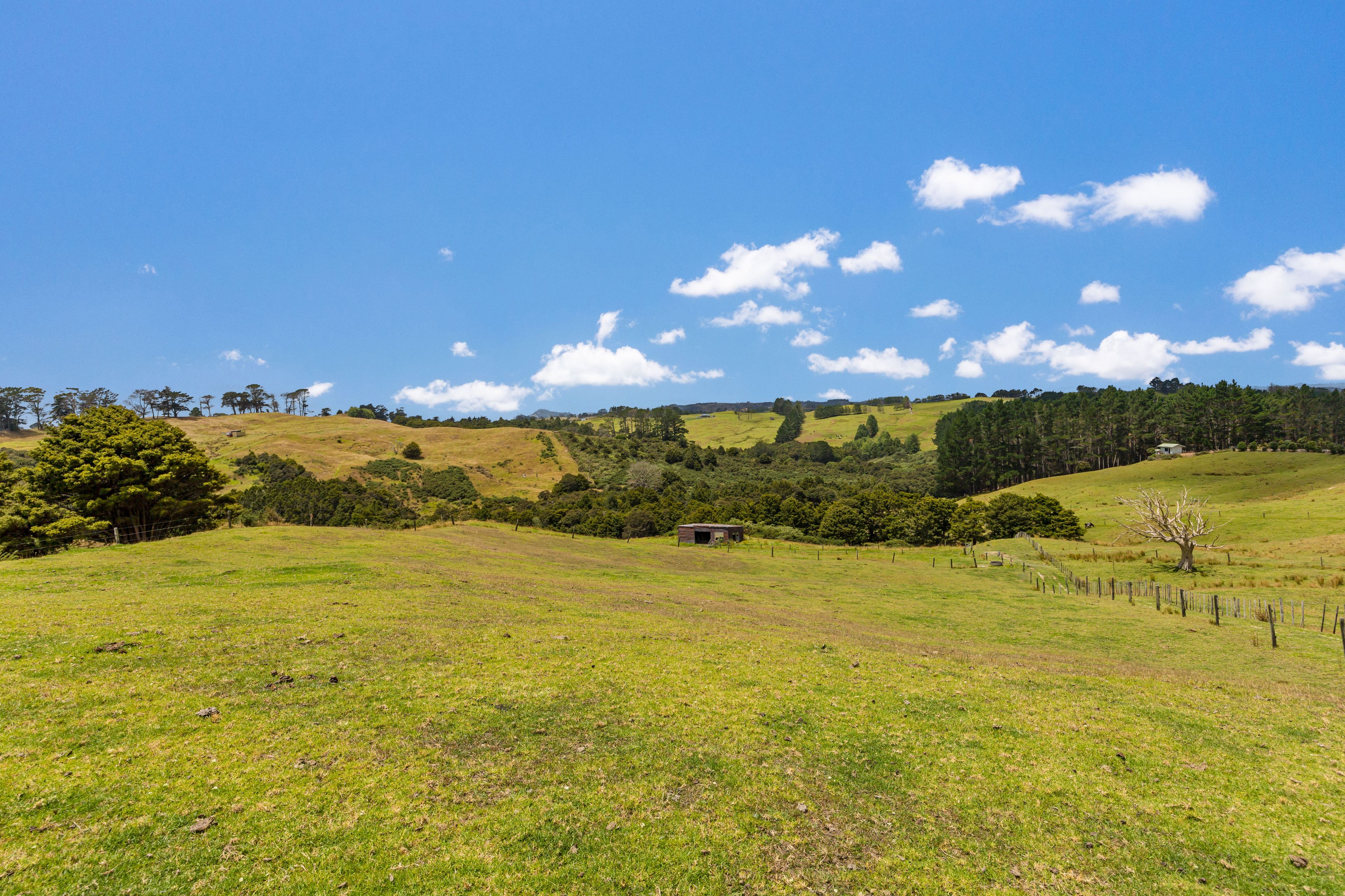 47 Witheford Road, Wellsford, Rodney