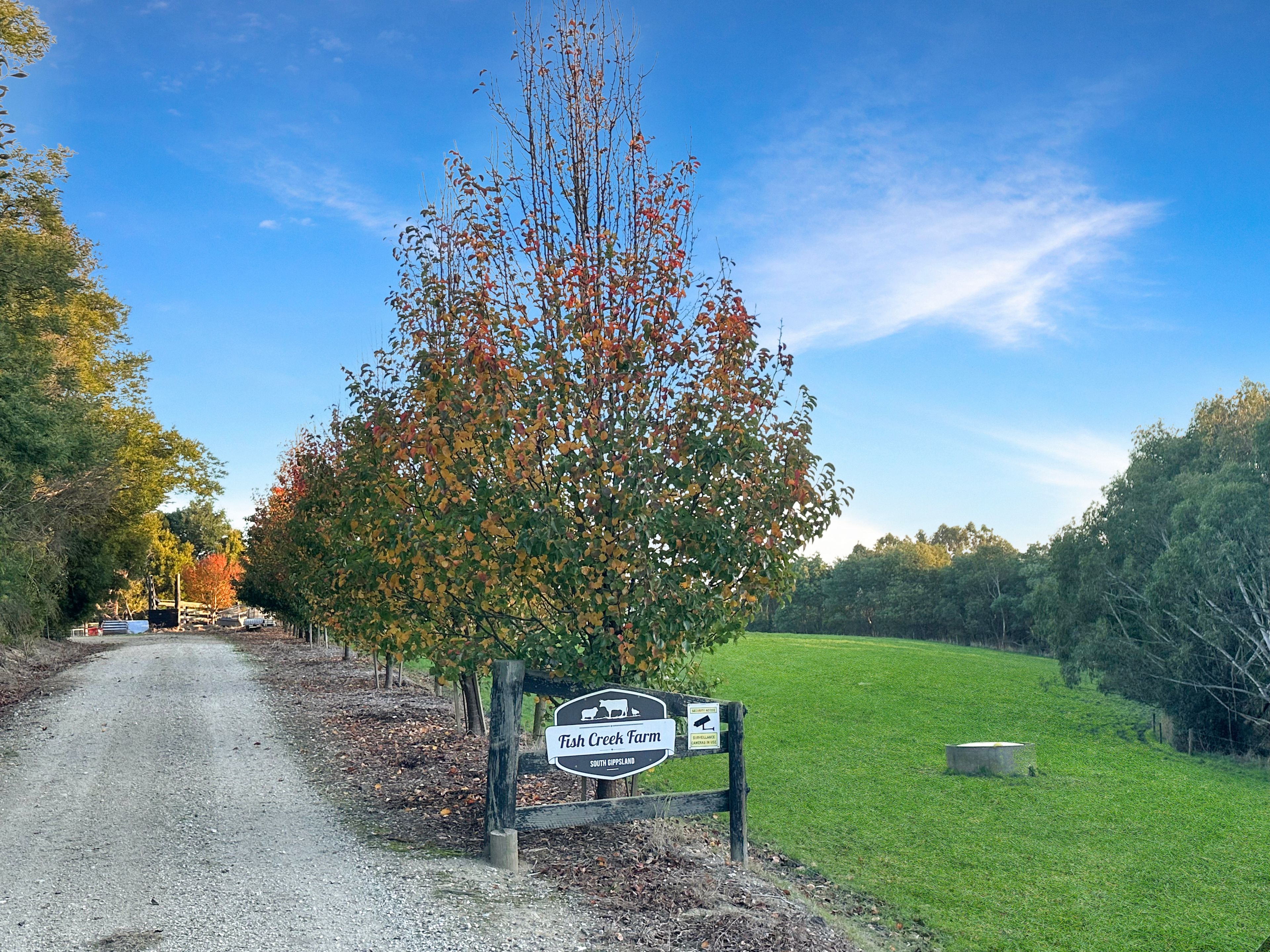 "Fish Creek Farm" 245 Eastaways Road, Fish Creek, VIC 3959 Rural
