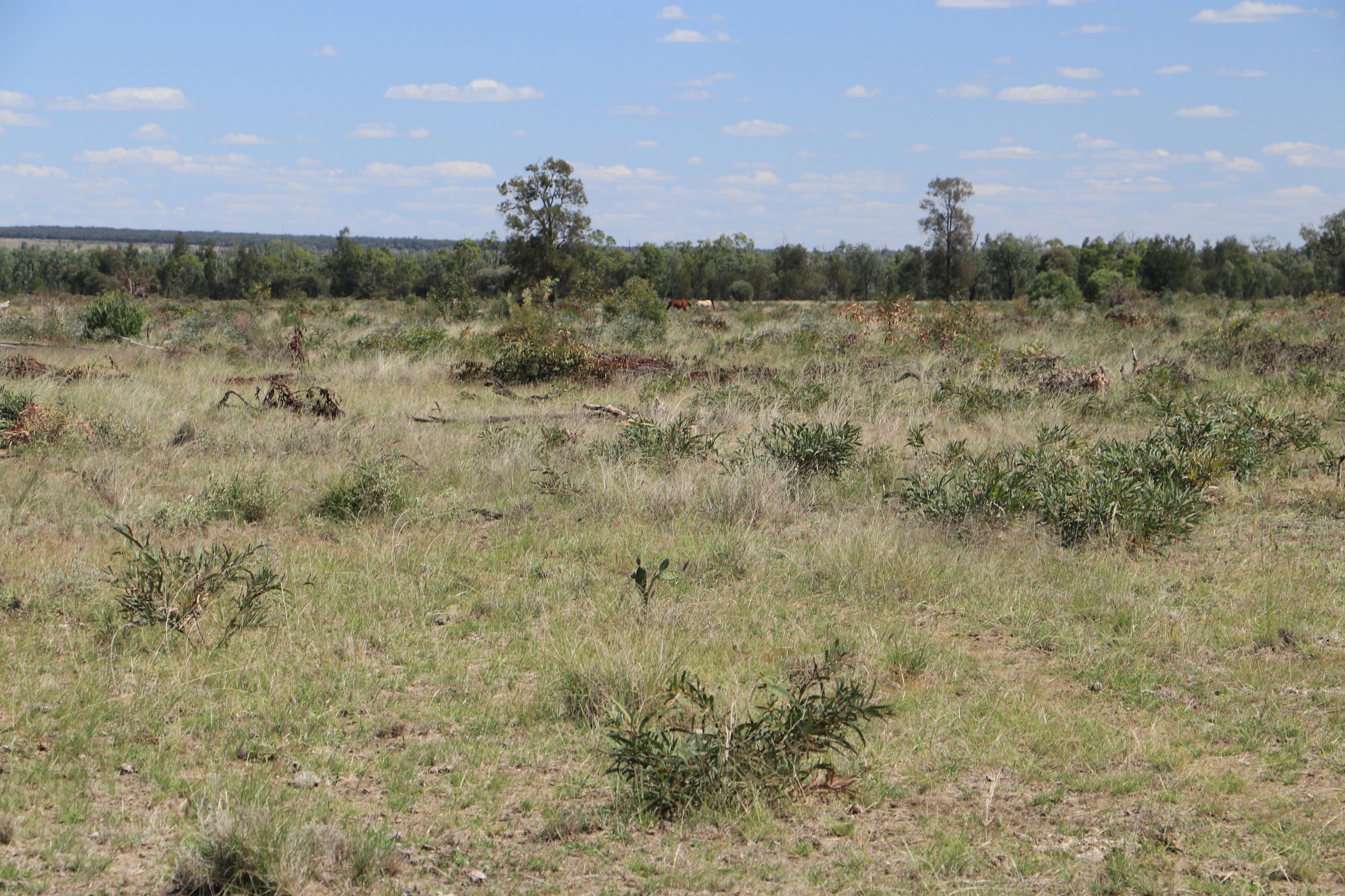 555 Yuleba Surat Road — photo 4 of 28