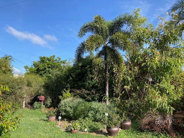 23 Hurst Street, Picnic Bay, QLD 4819