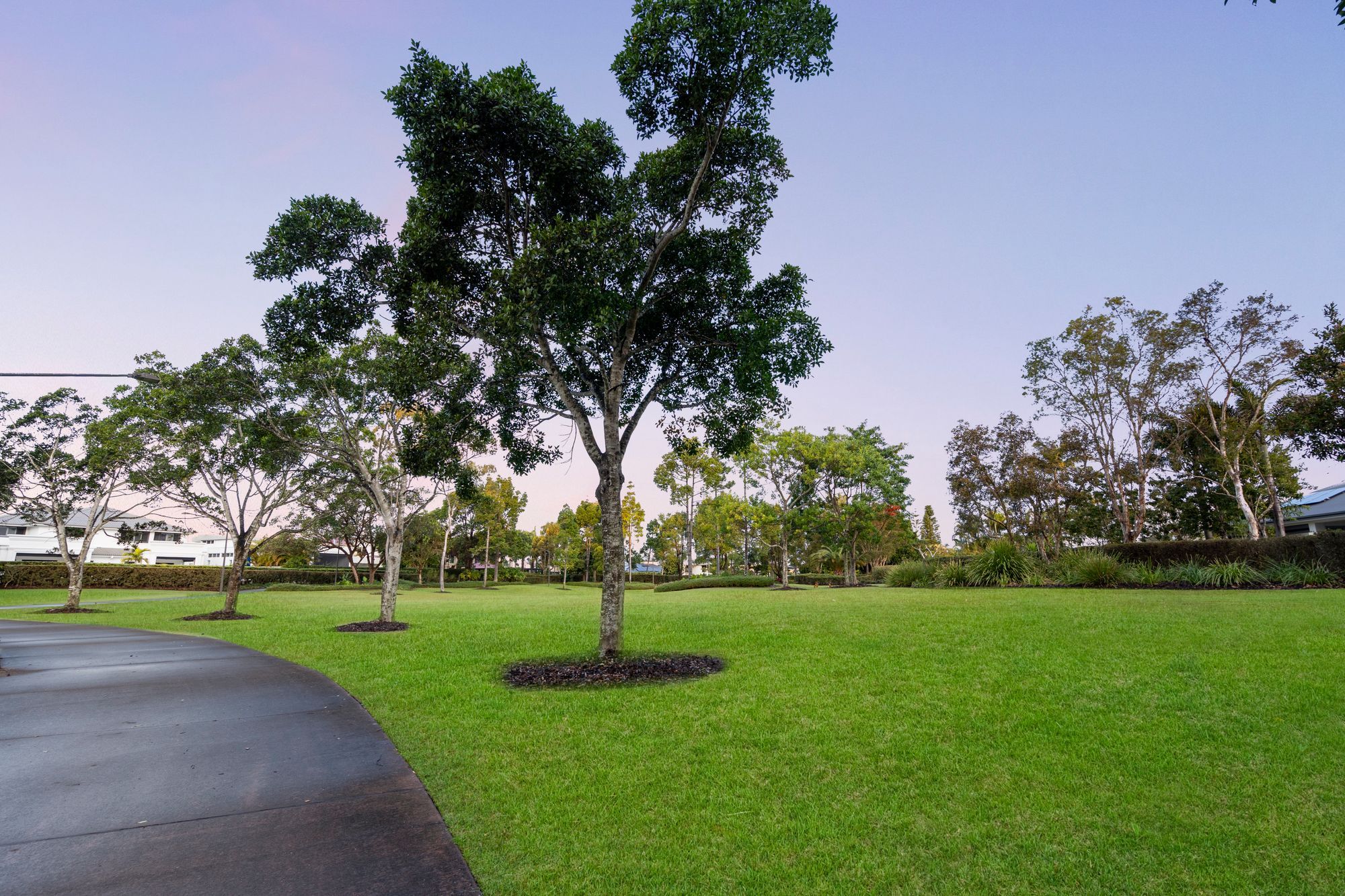 2015 The Circle — photo 22 of 27