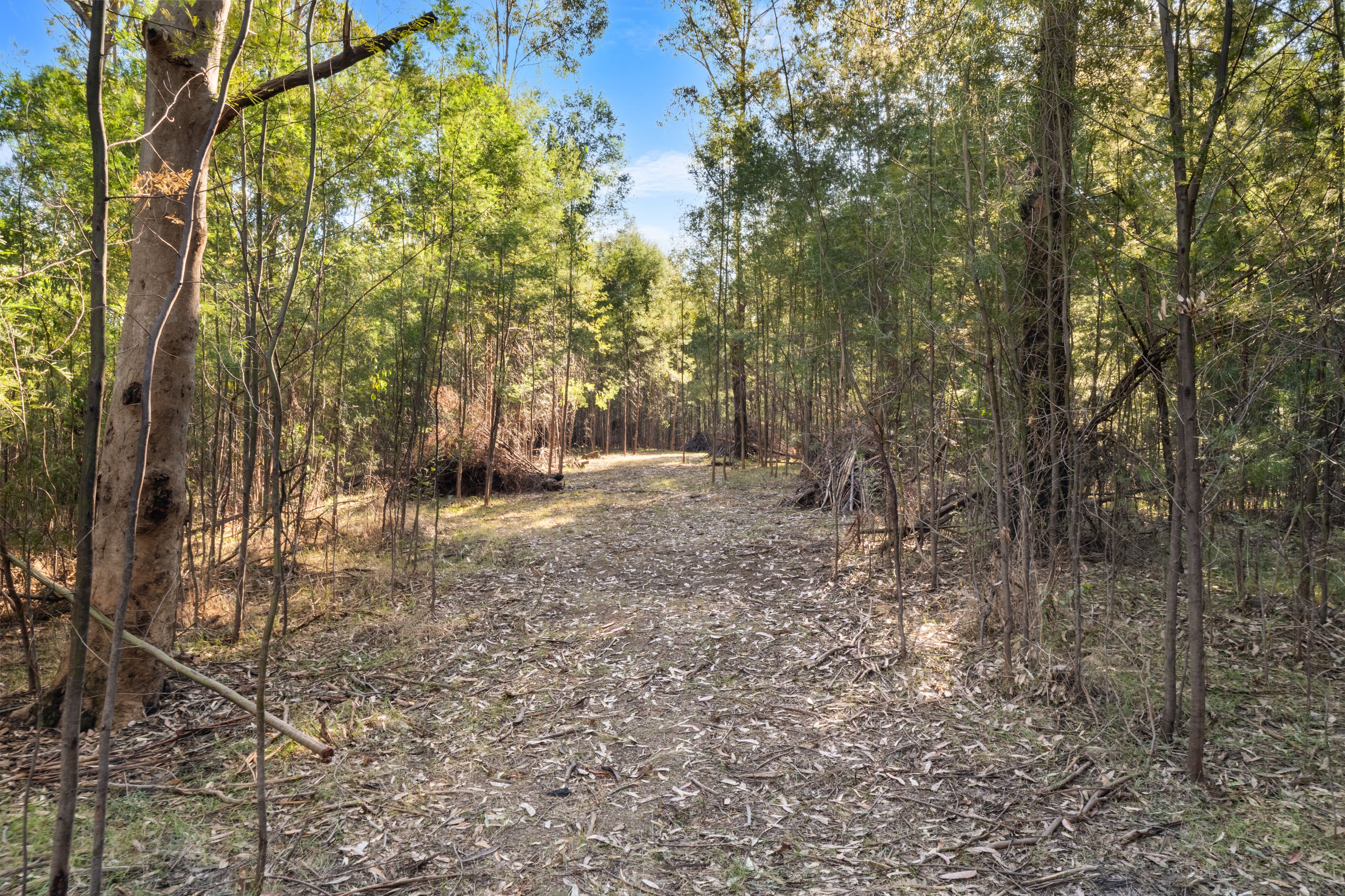 3085 Putty Road — photo 15 of 23