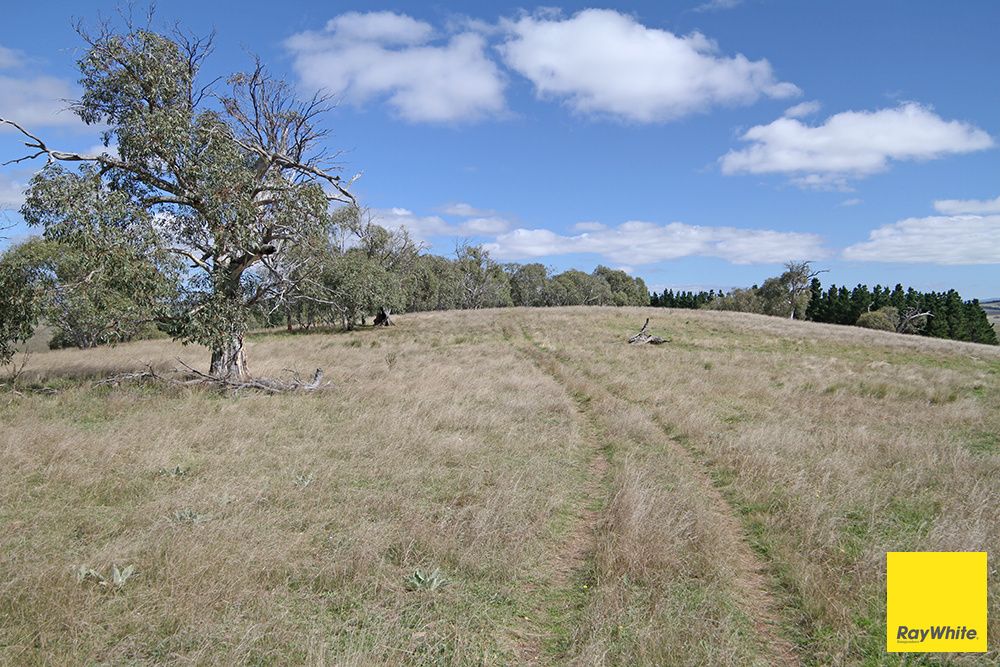 Lots 6-7 - part 757 Caddigat Road, Dry Plain, NSW 2630