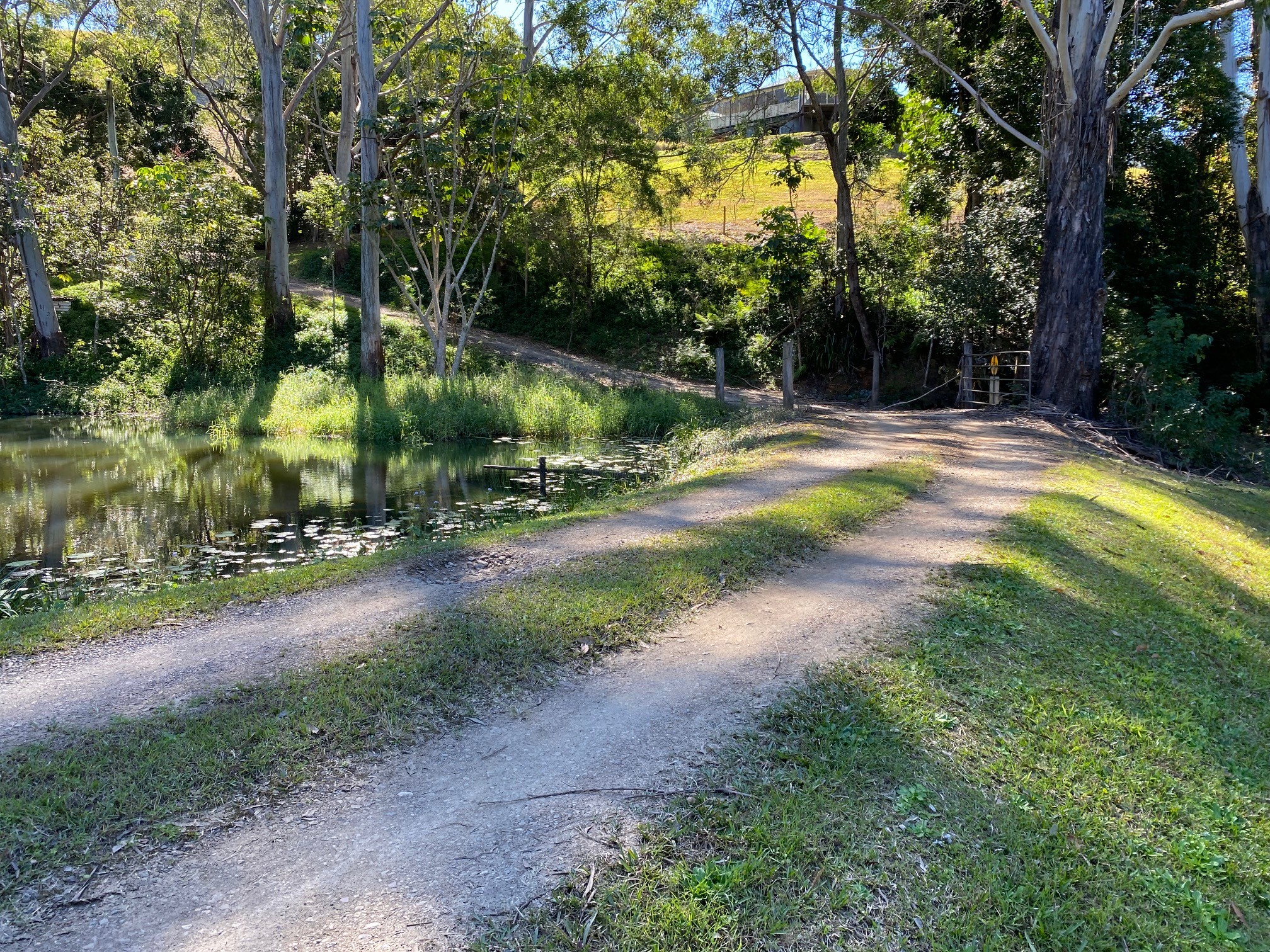 Cooroy, QLD 4563