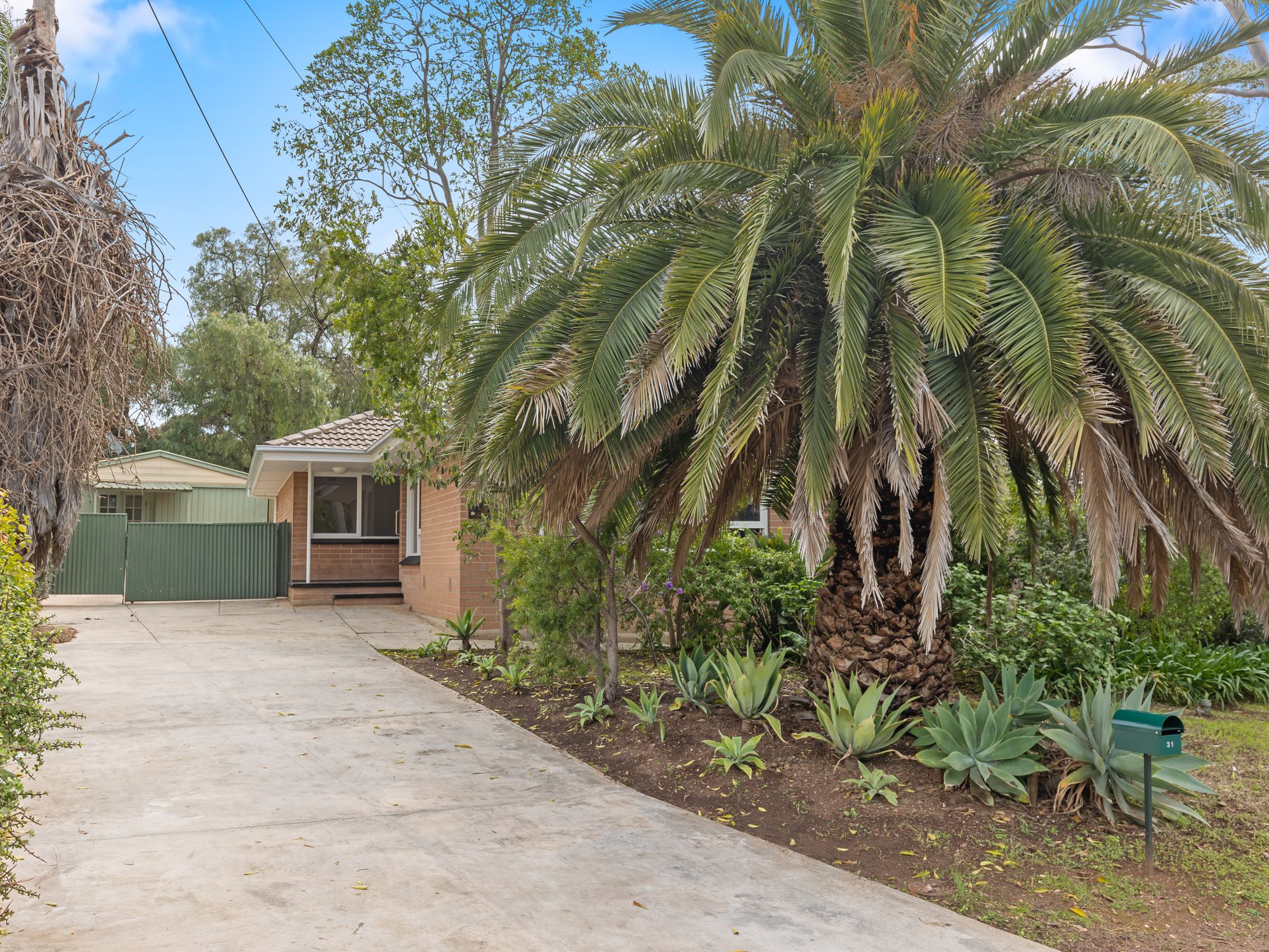 31 Peregrine Crescent, Christie Downs, SA 5164