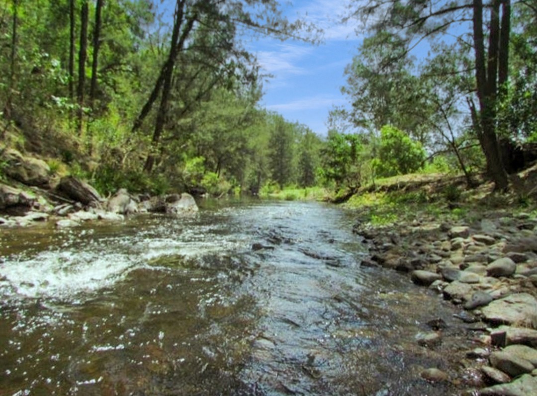 3141 Thunderbolts Way, Gloucester, NSW 2422