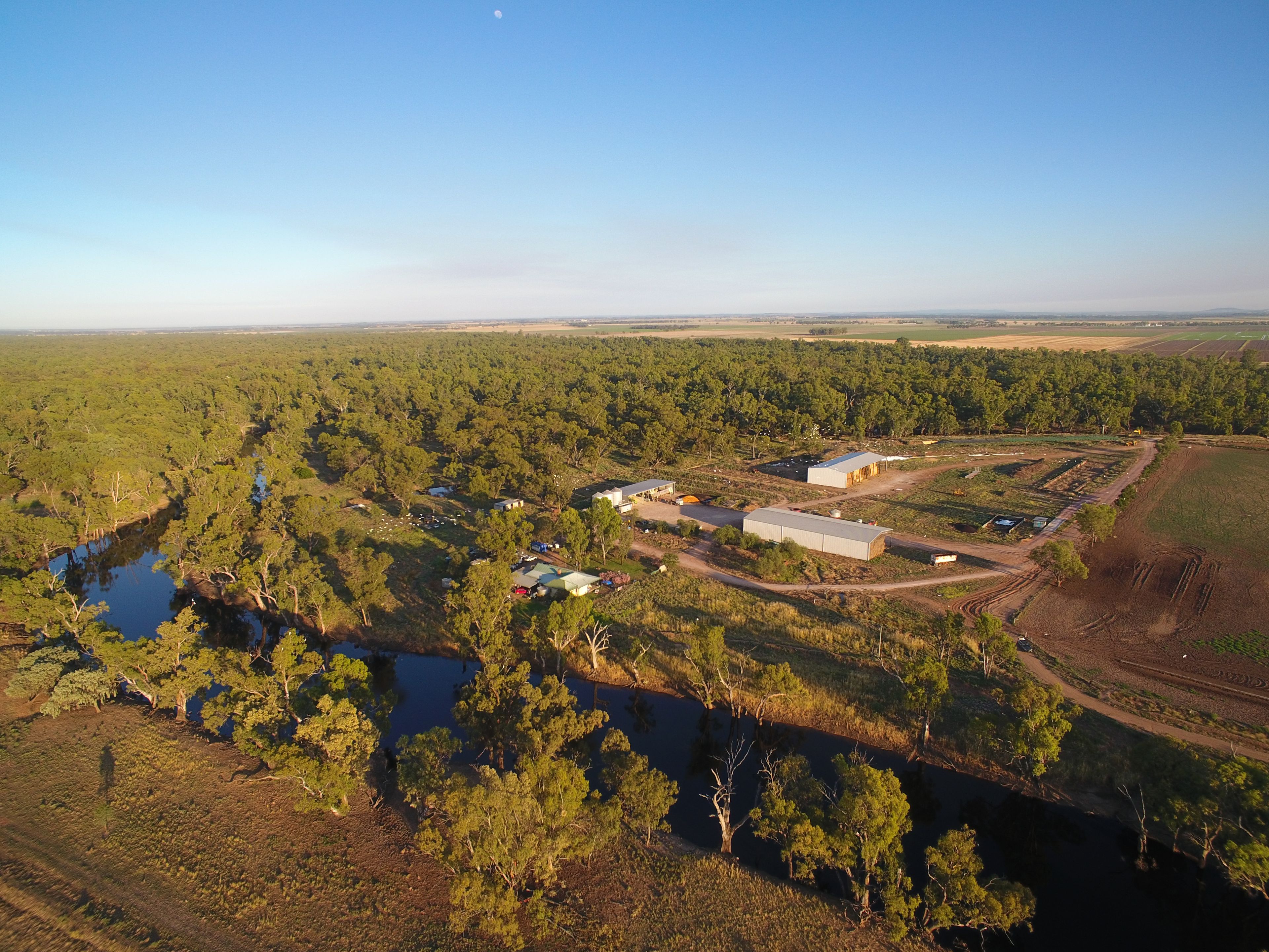 Yanco, NSW 2703 Sold Rural Mixed Farming Property Ray White Griffith