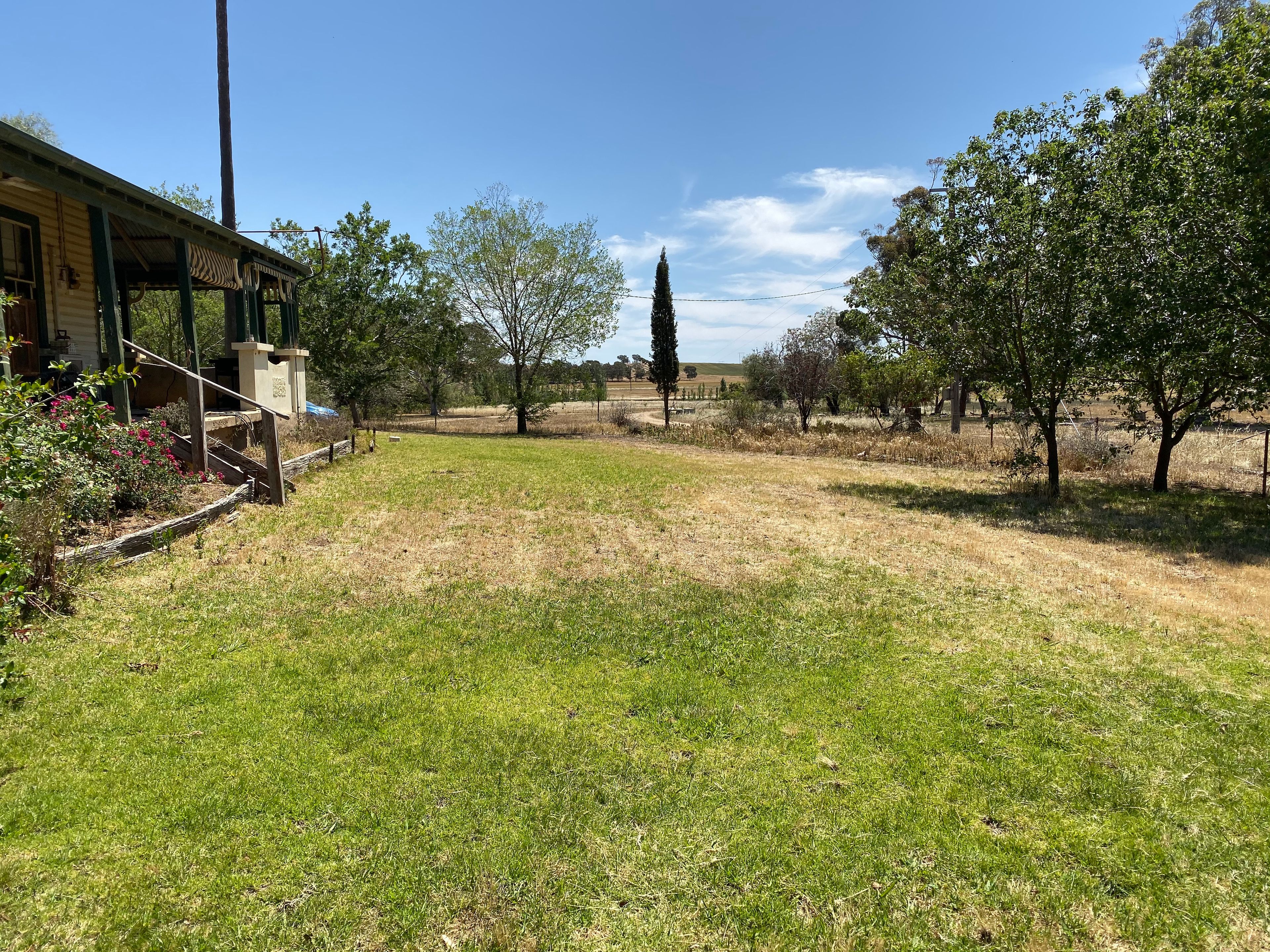 1186 Mates Gully Road, Tarcutta, NSW 2652