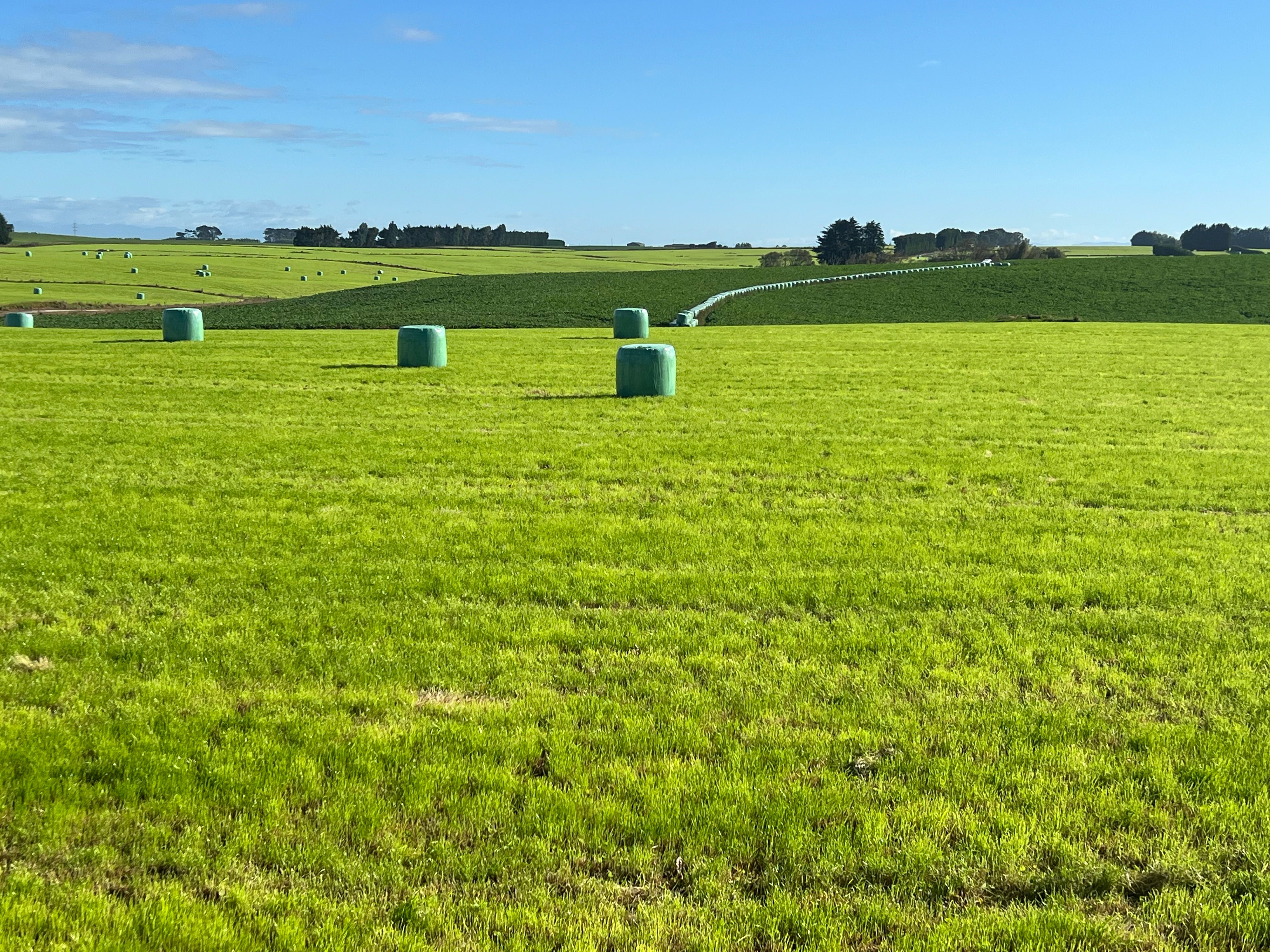 165 Orr Road, Waimatua, Southland District