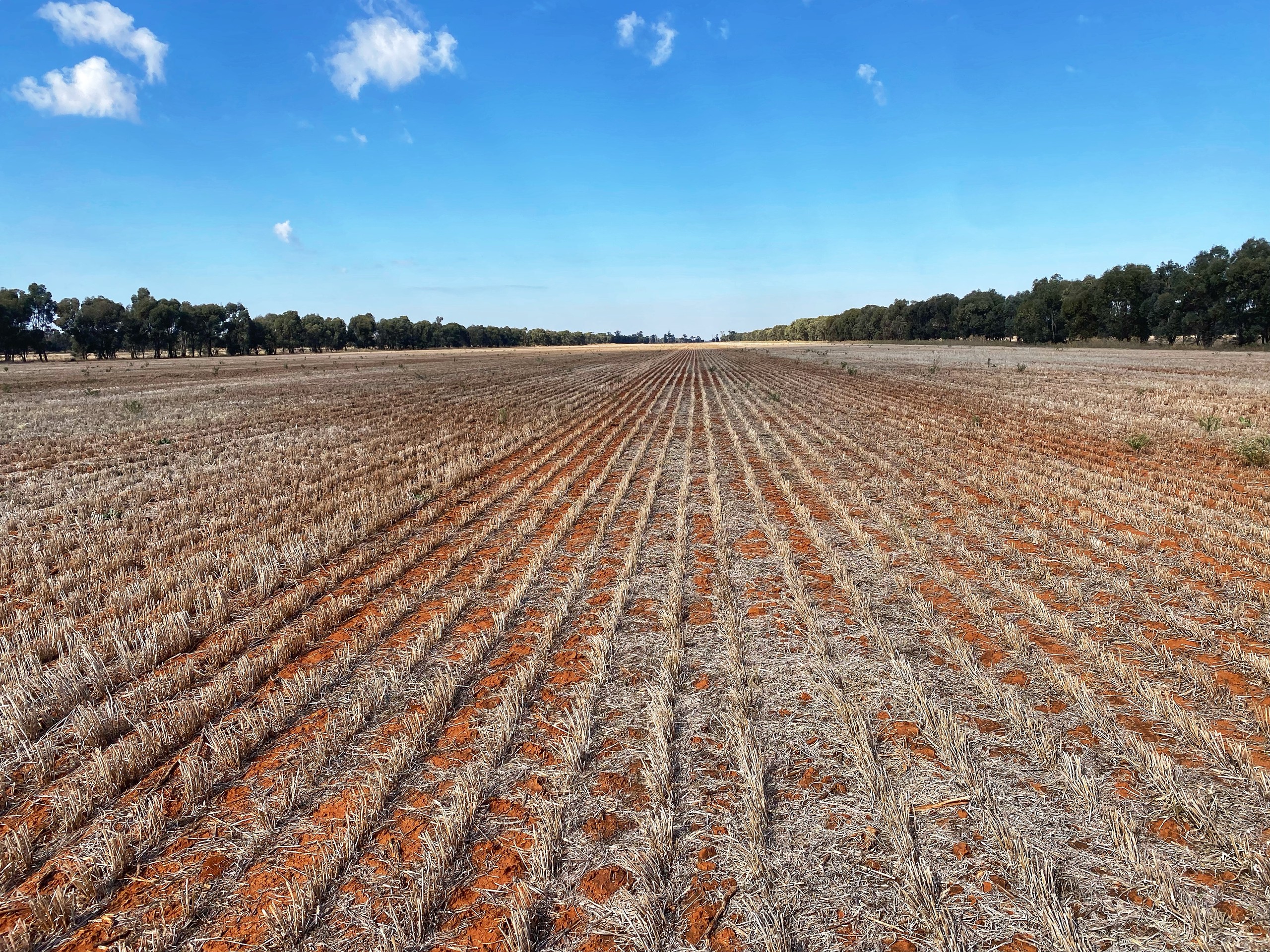 'Wallaroi West' 972 Wardry Bus Road, Condobolin, NSW 2877