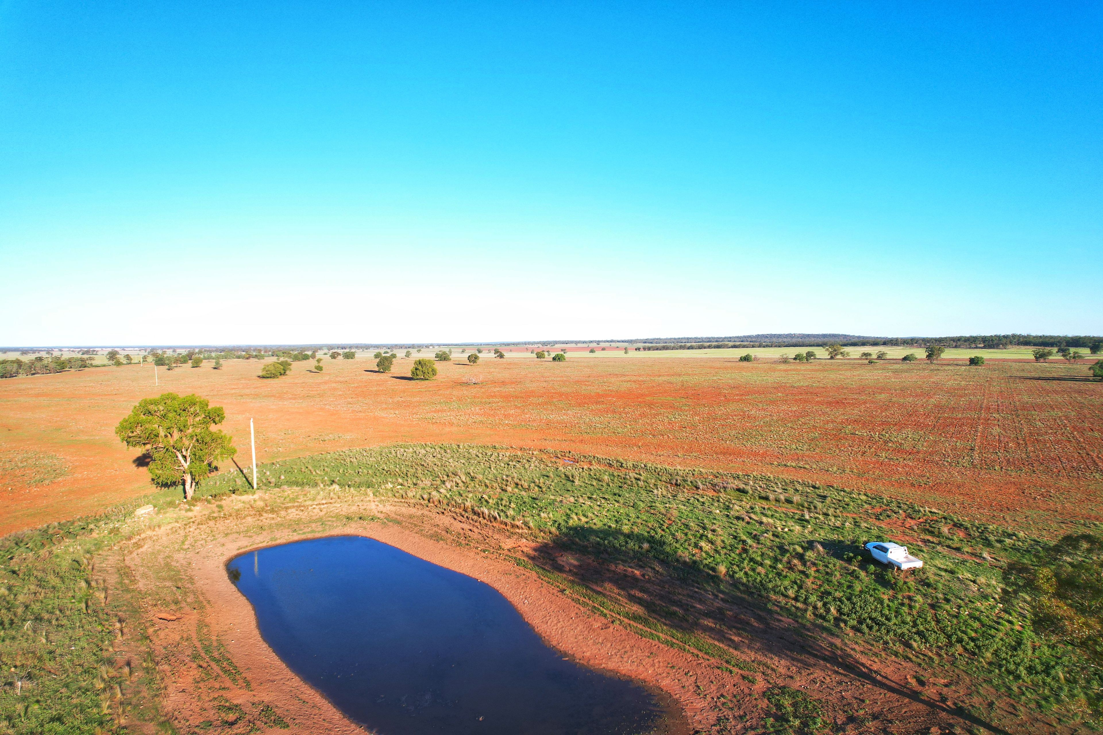 981 Myamley Road, Tottenham, NSW 2873 Rural Cropping Property for