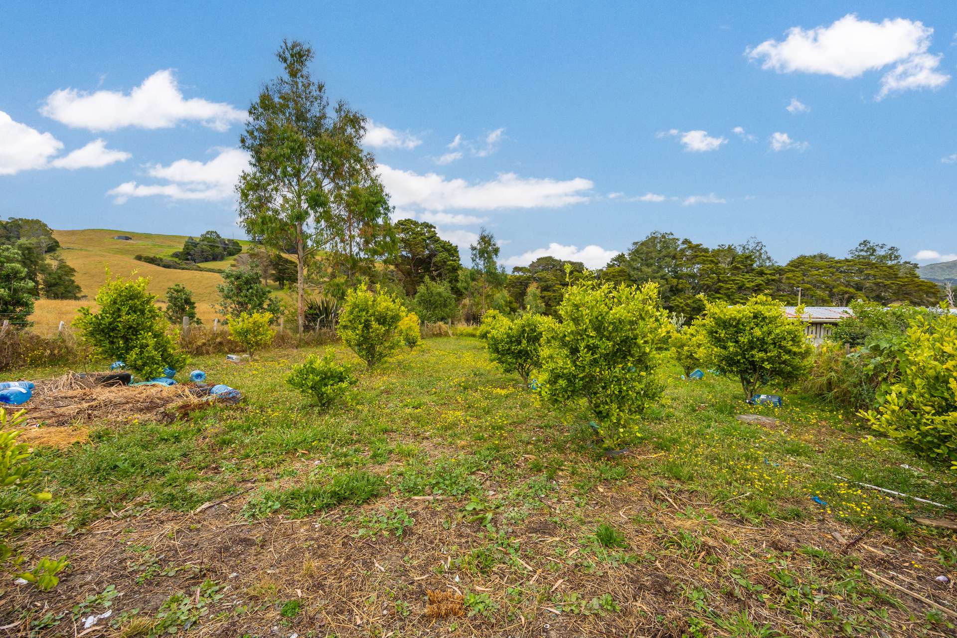 648 West Coast Road photo 15