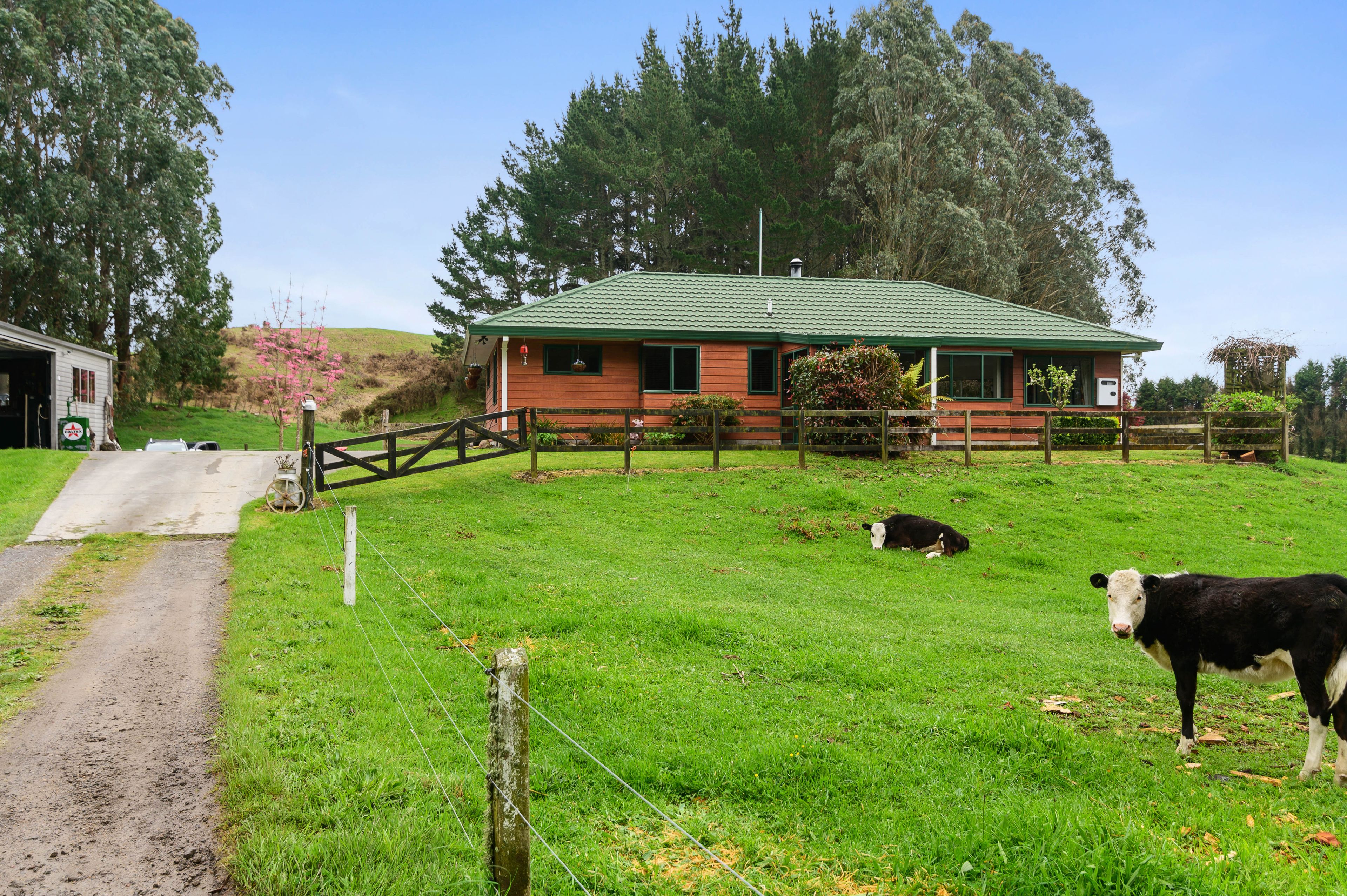 11 Kingsley Drive, Ngongotaha, Rotorua District