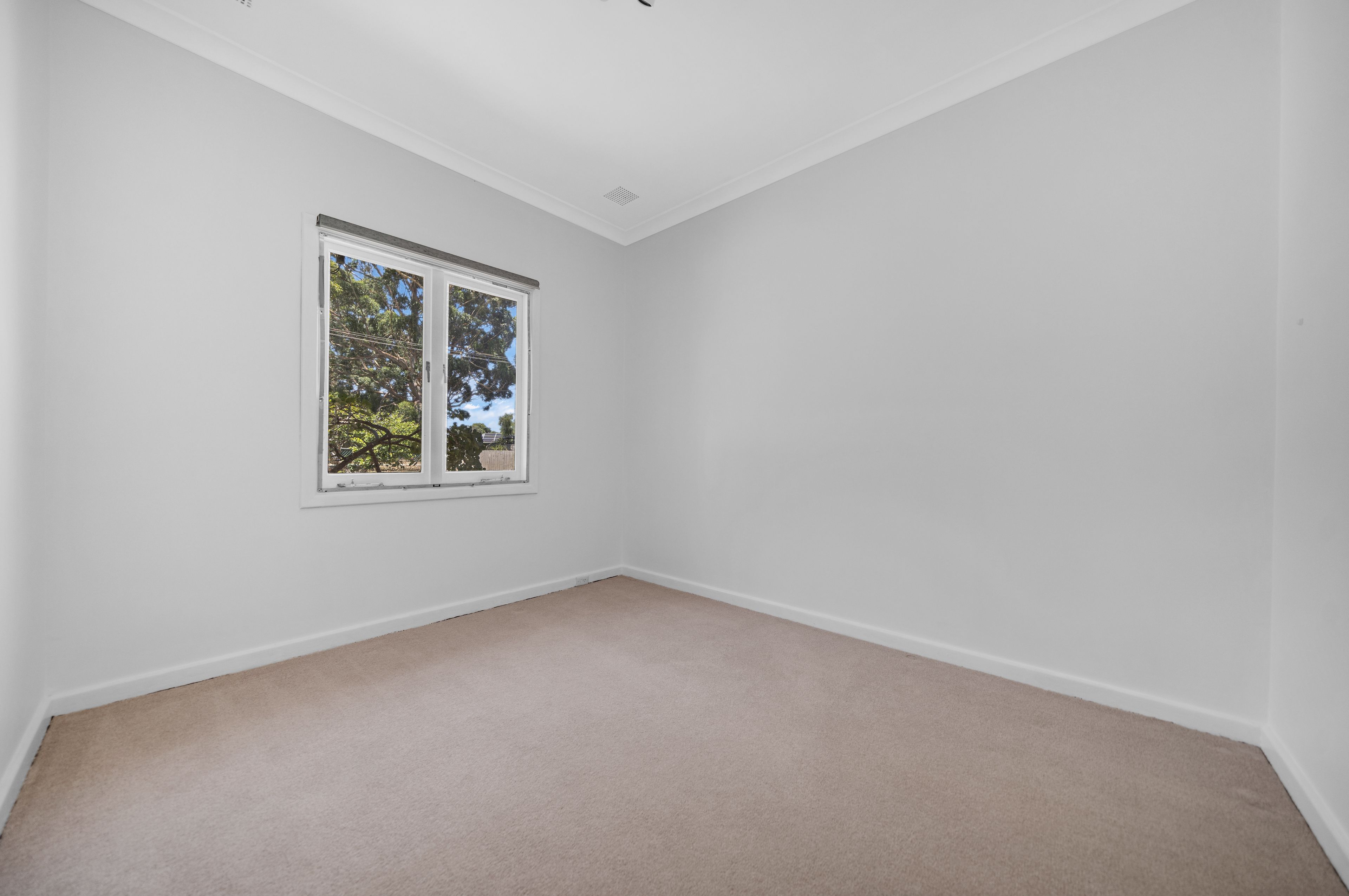 7 Hassett Street — photo 7 of 12