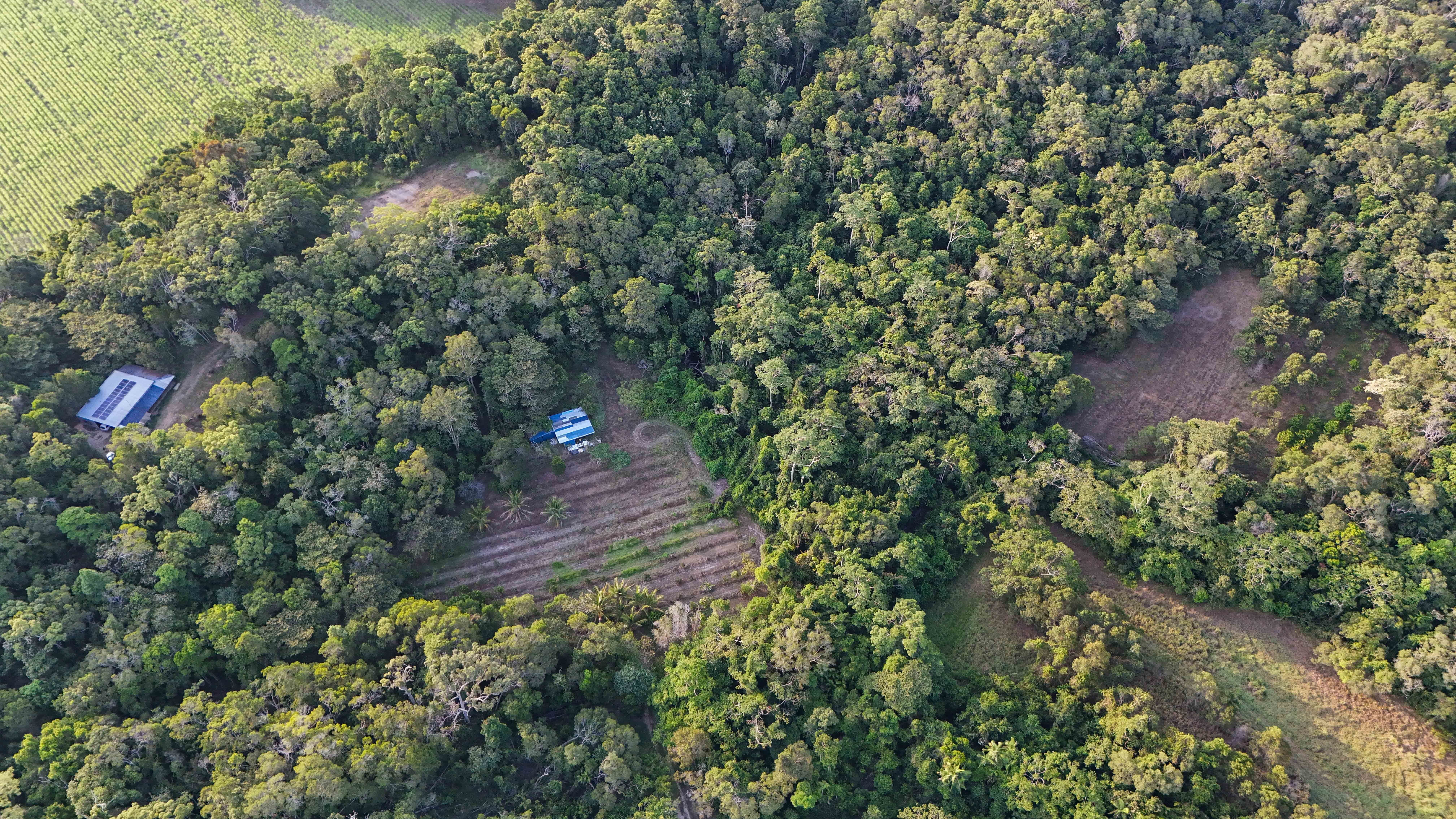 Create Your Idyllic Lifestyle to Include Future Potential Income on 342 acres — photo 30 of 30
