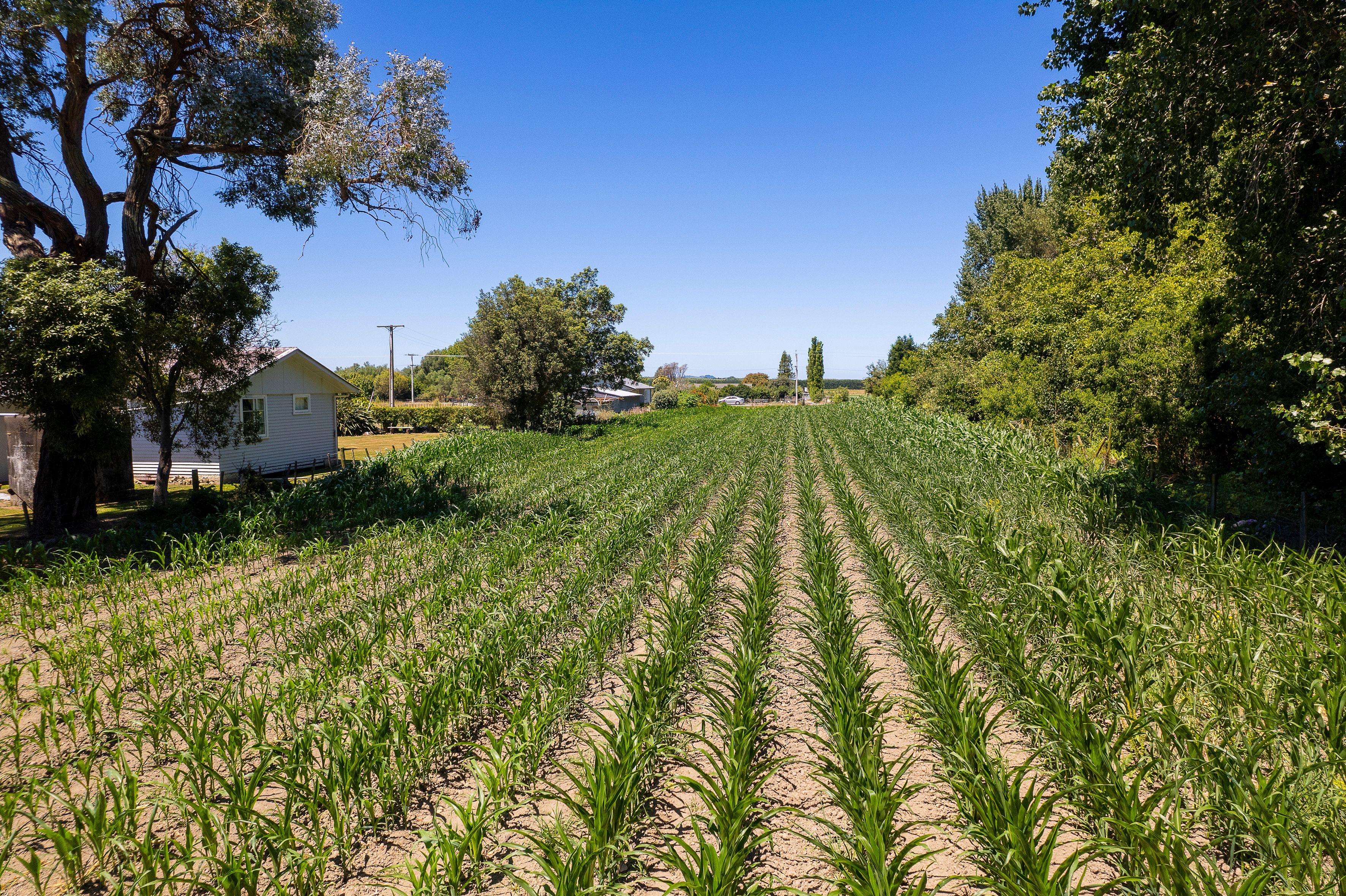 0 Wharerata Road, Manutuke, Gisborne District 4078 Sold Rural Bare Land Property Ray White