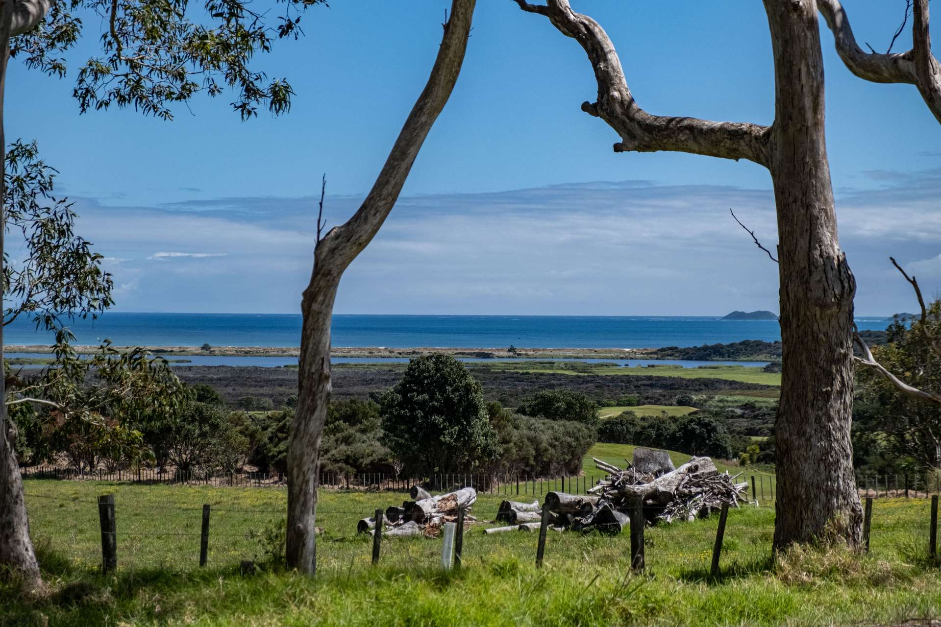 50 Matai Bay Road photo 0