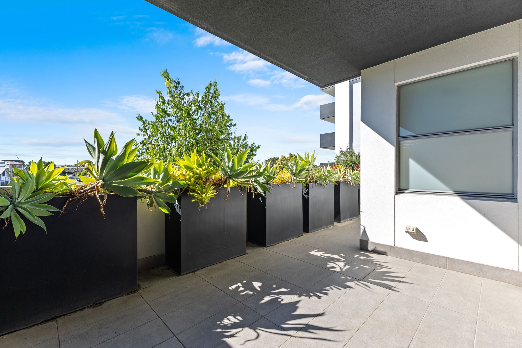 208/15 Ethel Street — photo 8 of 20