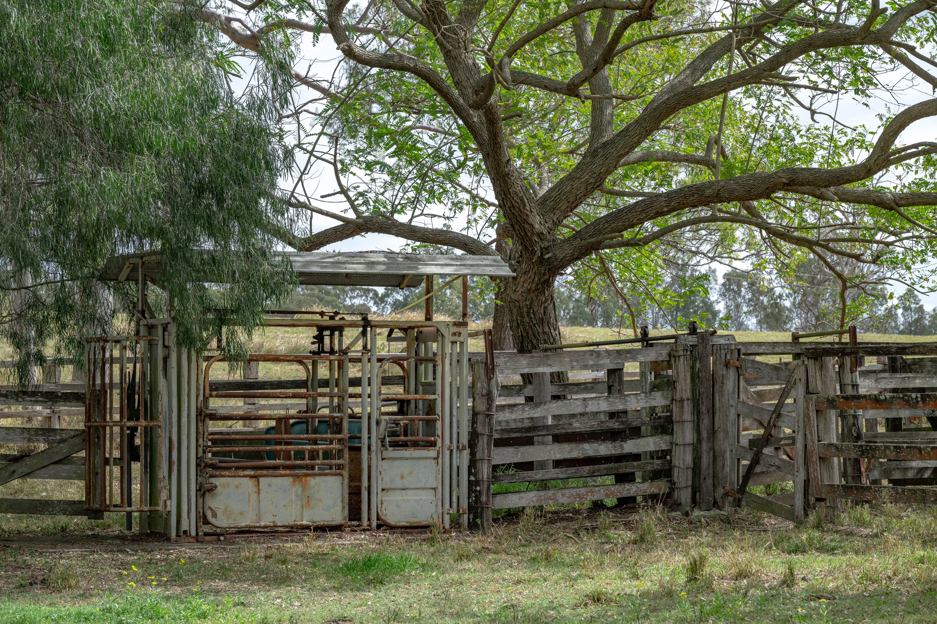 0 Cunningham Highway — photo 18 of 22
