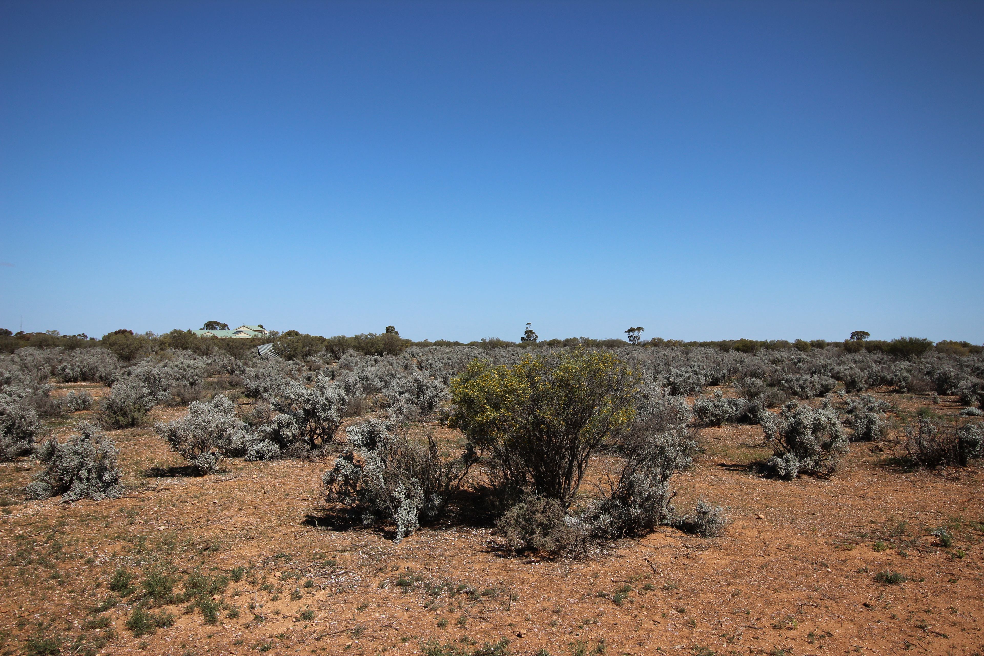 12 Cemetery Road, Morgan, SA 5320
