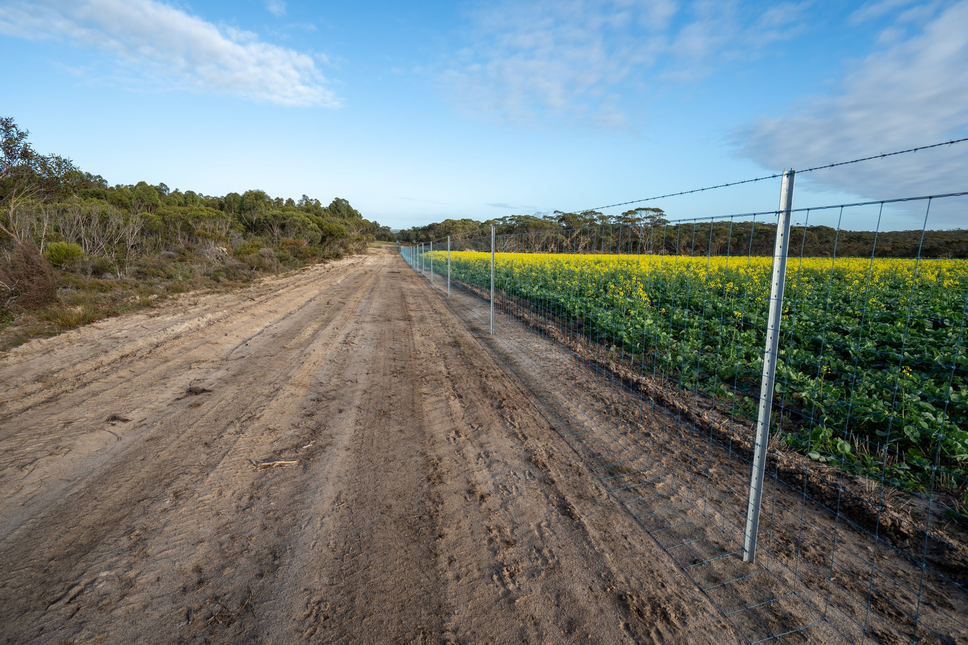 Lot 1895 Pallinup River Estate — photo 30 of 30
