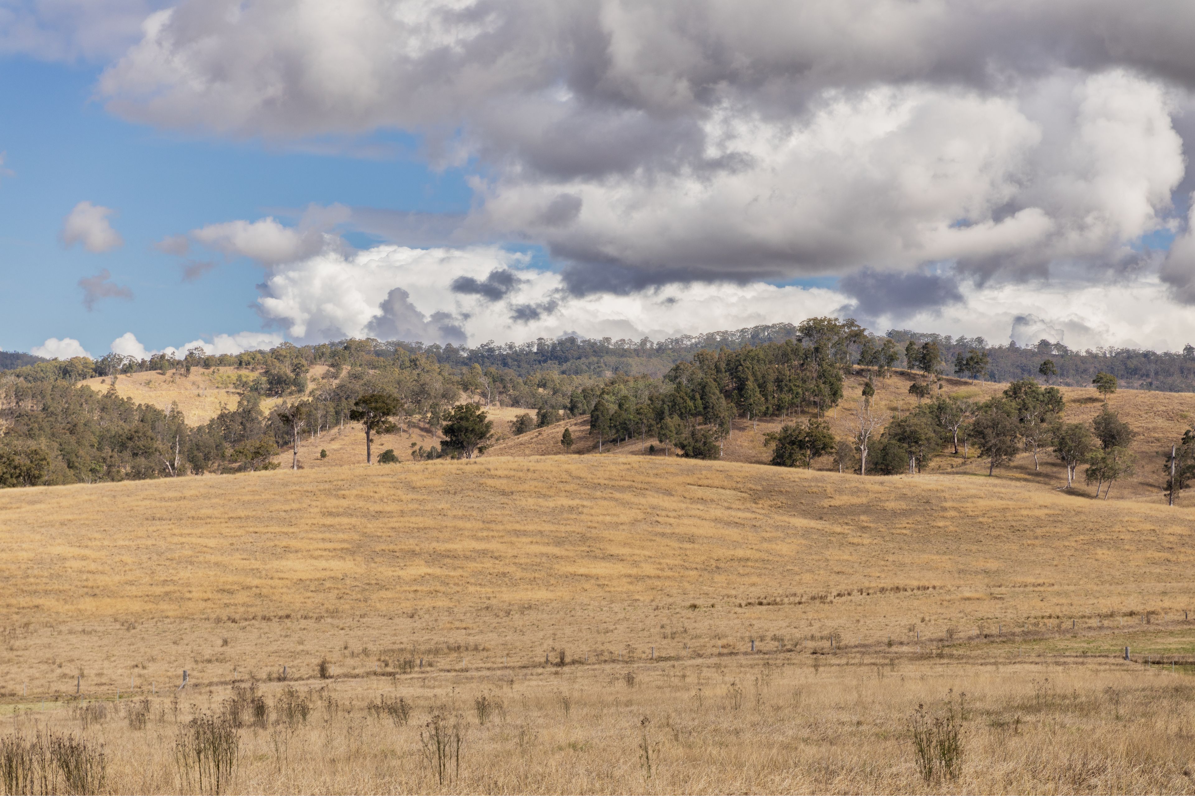 Lot 24 26 Bacon Circuit, Dungog, NSW 2420 Land for Sale Ray White