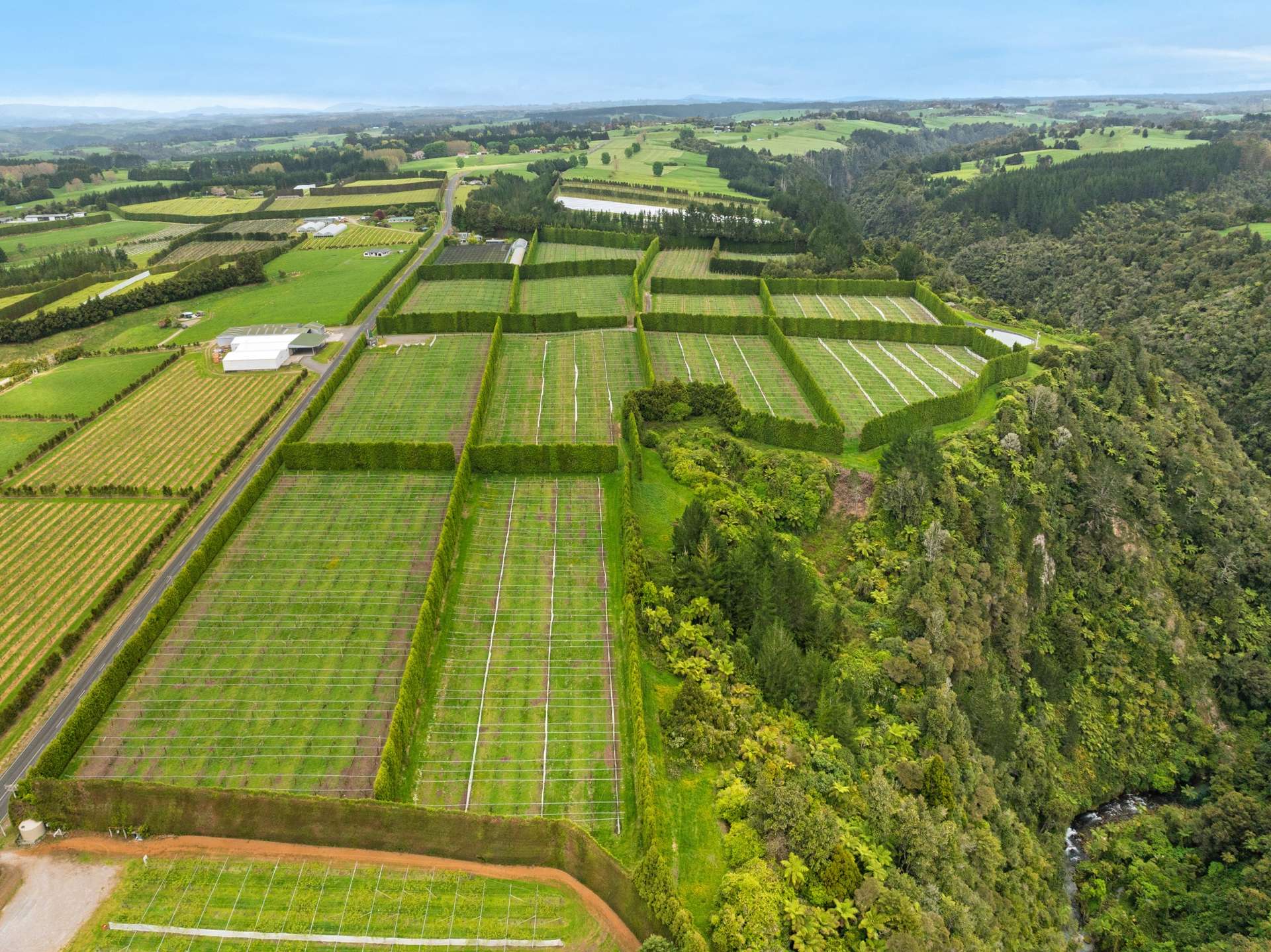 1010 Te Matai Road photo 21