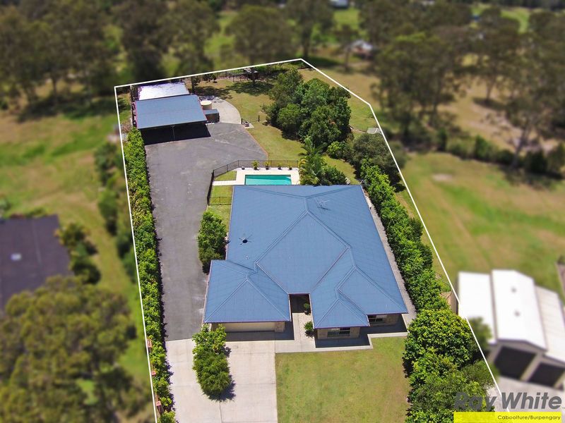 14 Bushcherry  Court, Burpengary East QLD 4505