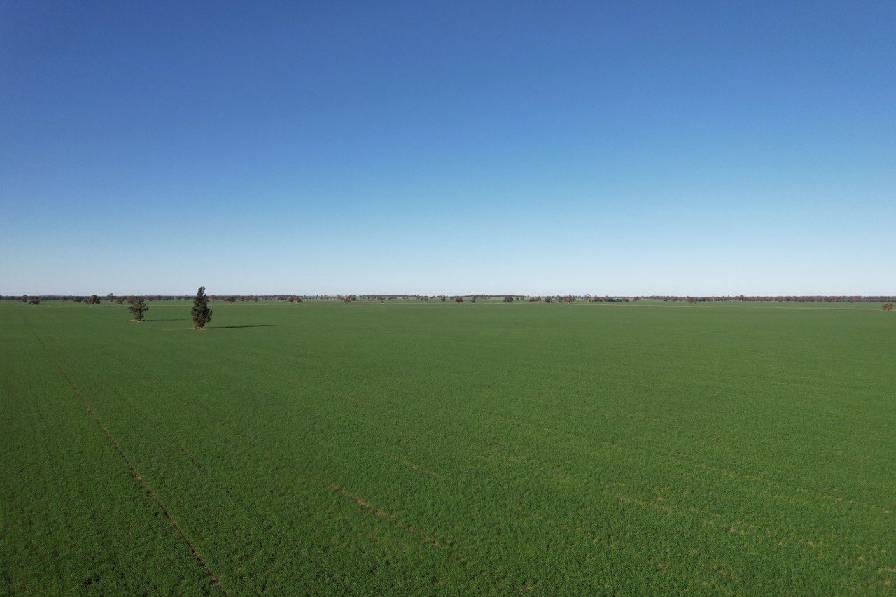 653 Bush Home Road, Tottenham, NSW 2873 Rural Cropping Property for