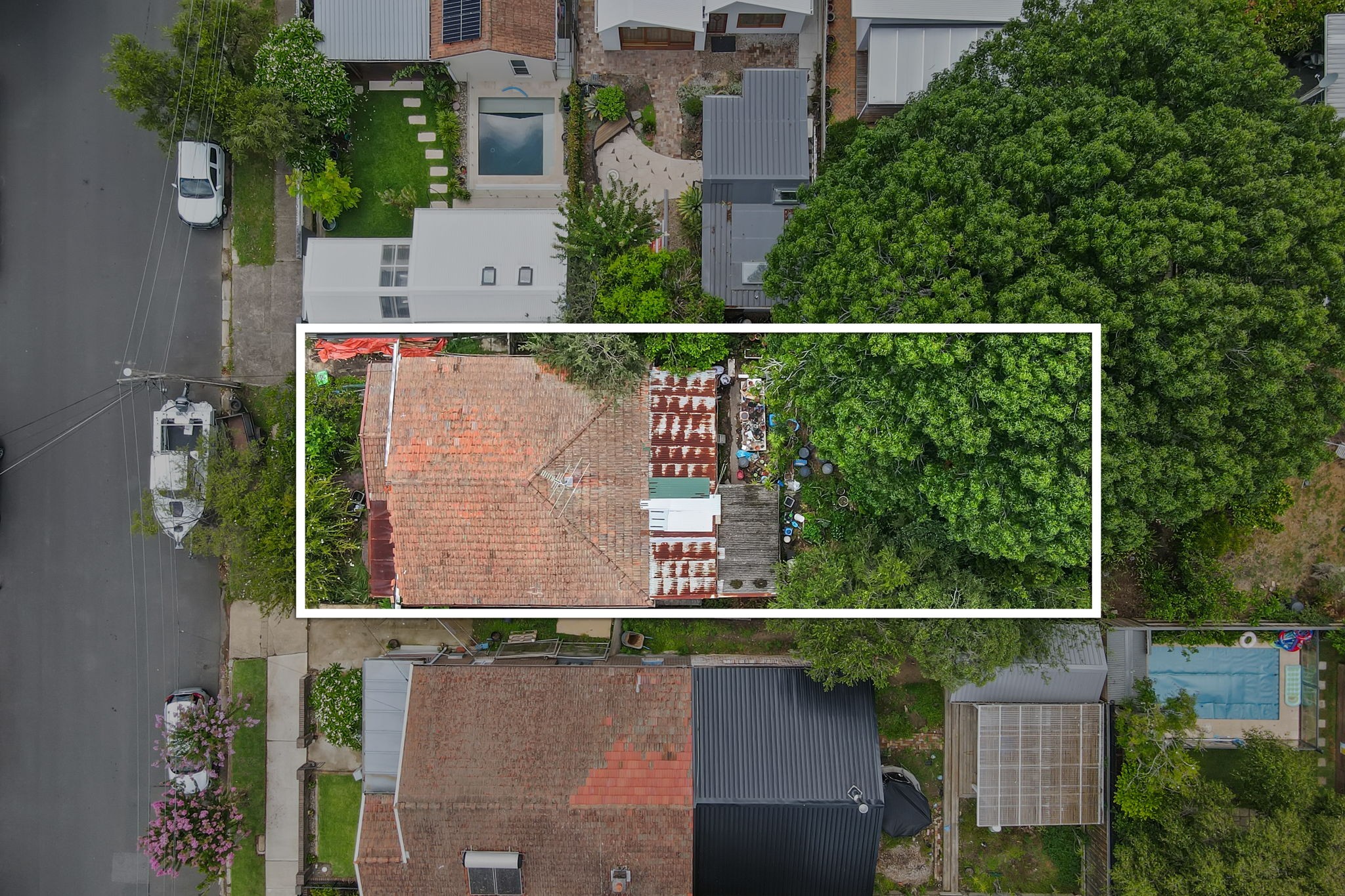 87 Abergeldie Street, Dulwich Hill, NSW 2203