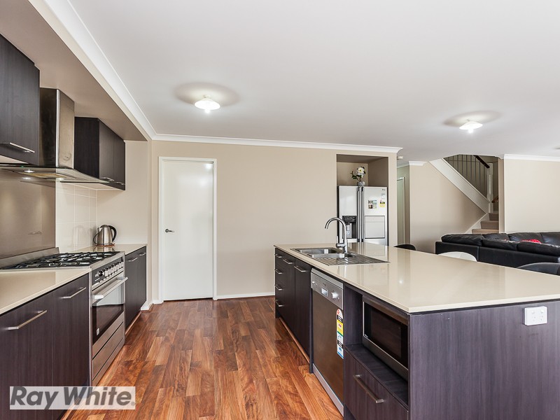 105 Cowen Terrace, North Lakes, QLD 4509