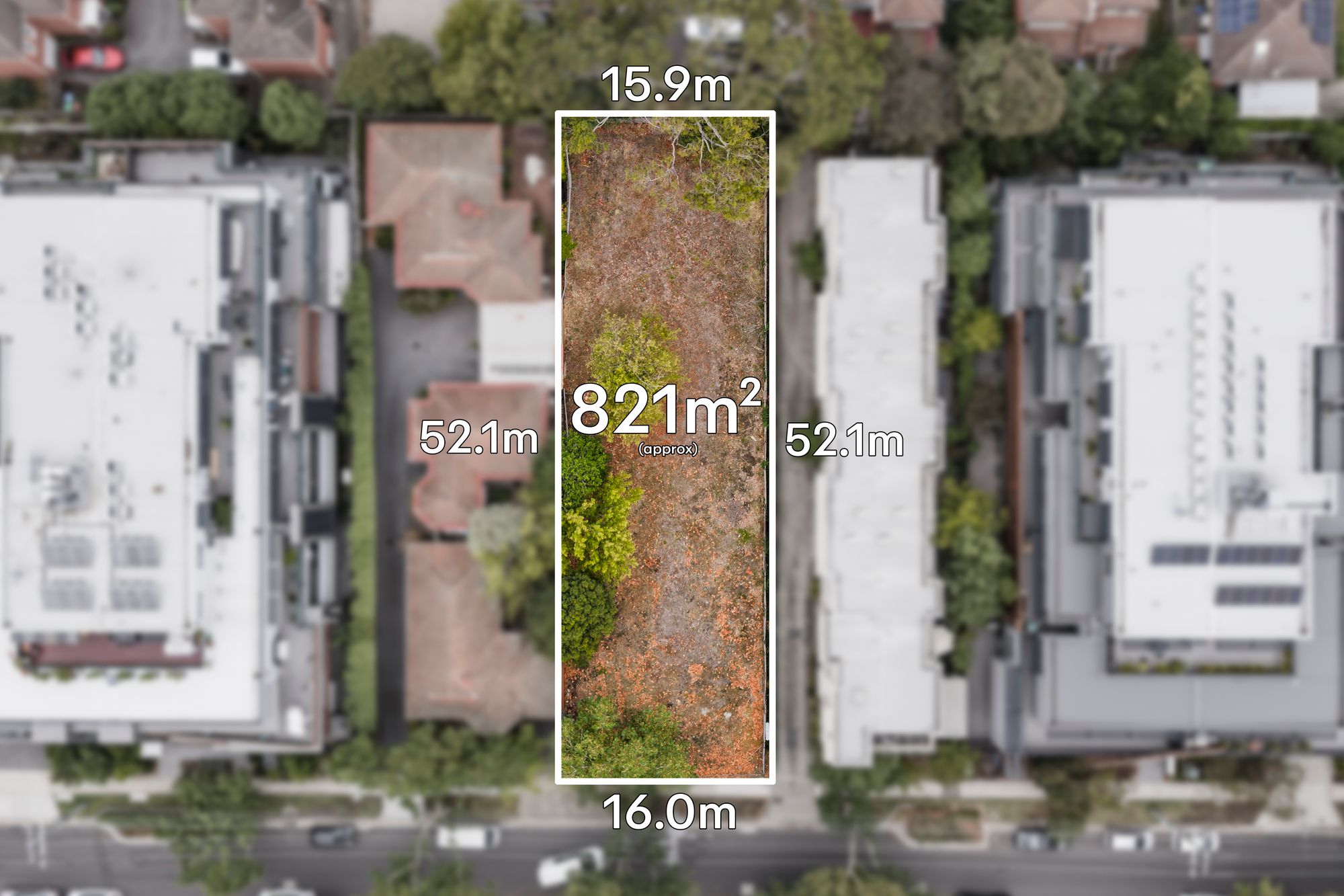 17 Bourke Street — photo from Ray White Mount Waverley