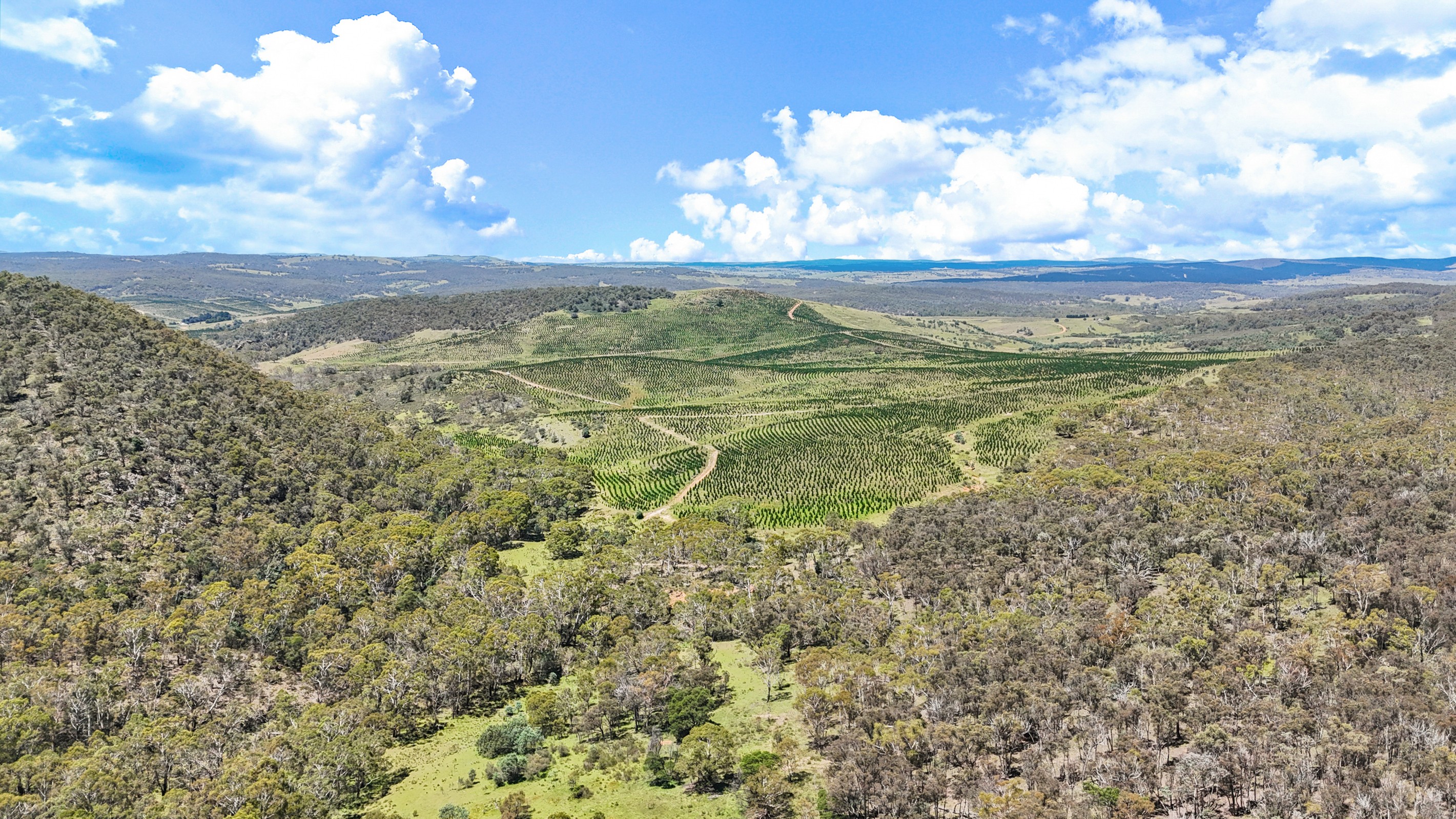 36 Balgownie Road (Quidong), Delegate, NSW 2633