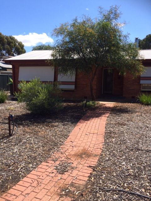 12 Kurrajong Avenue, Renmark, SA 5341