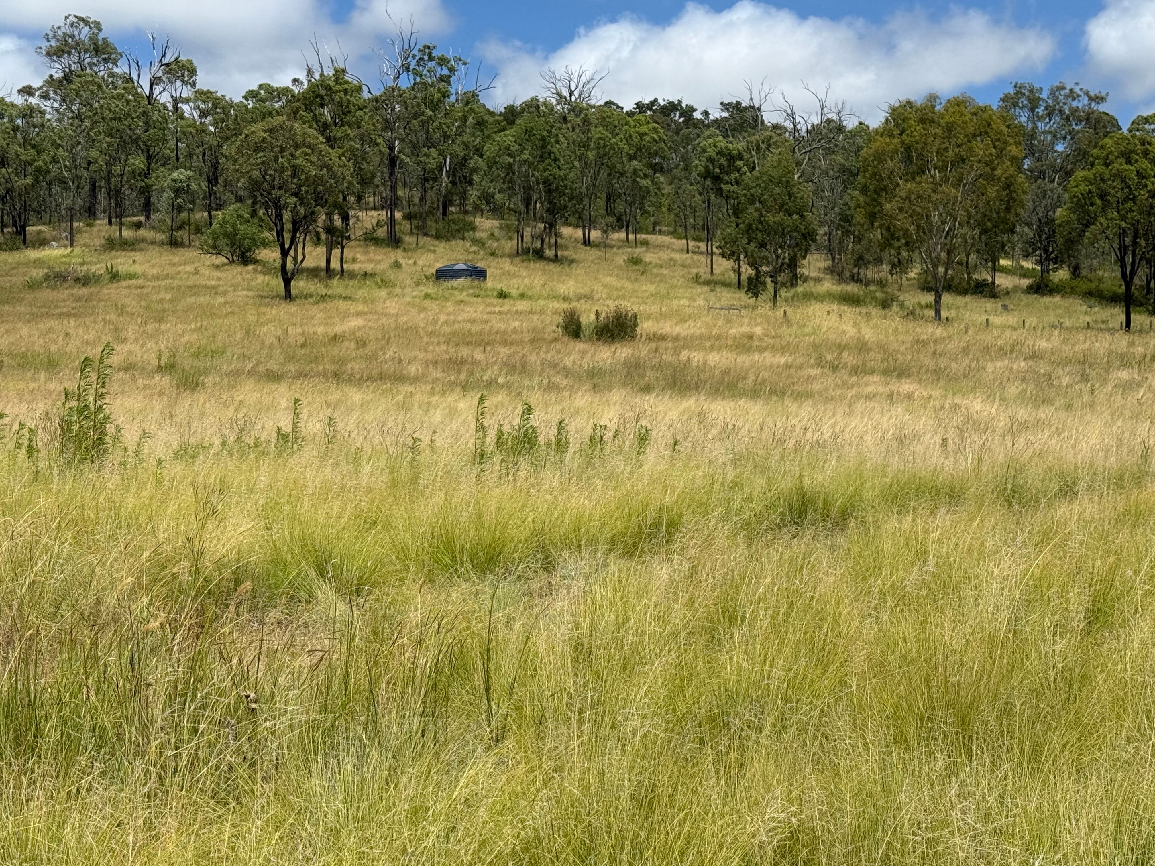 Lot 345 Cooyar Mt Binga Road, Cooyar, QLD 4402