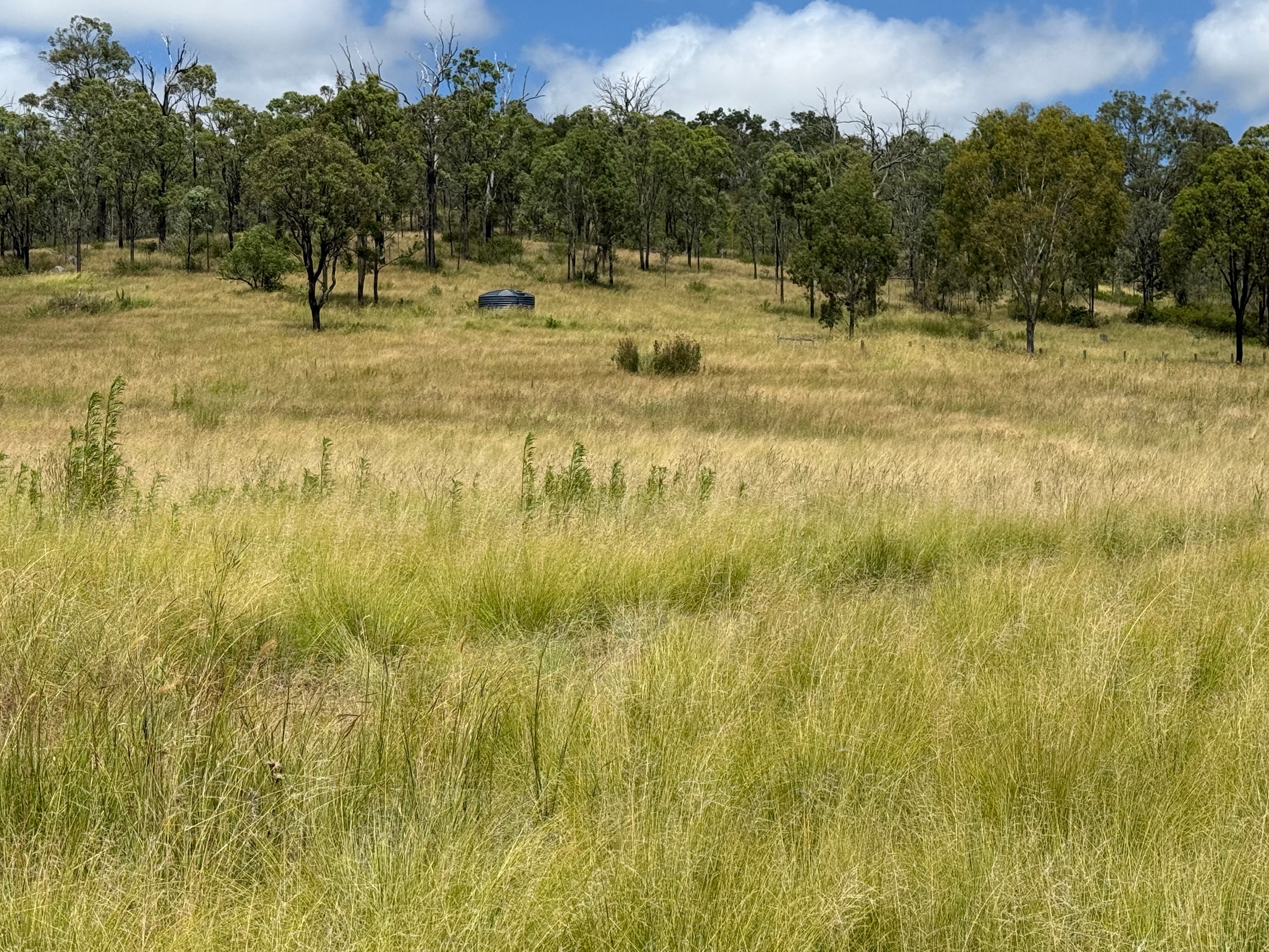 Lot 345 Cooyar Mt Binga Road, Cooyar, QLD 4402