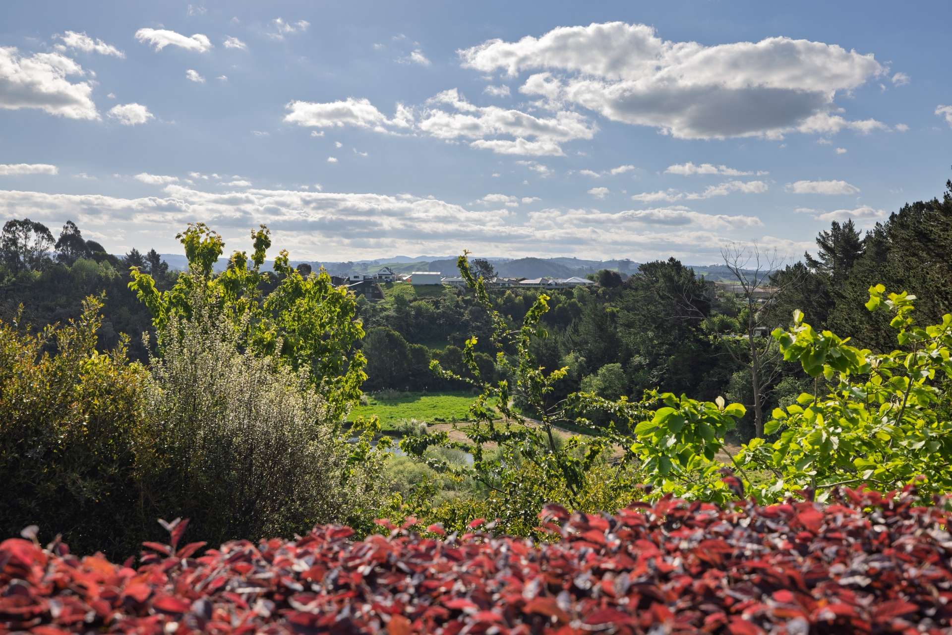 15 Stableford Drive photo 14