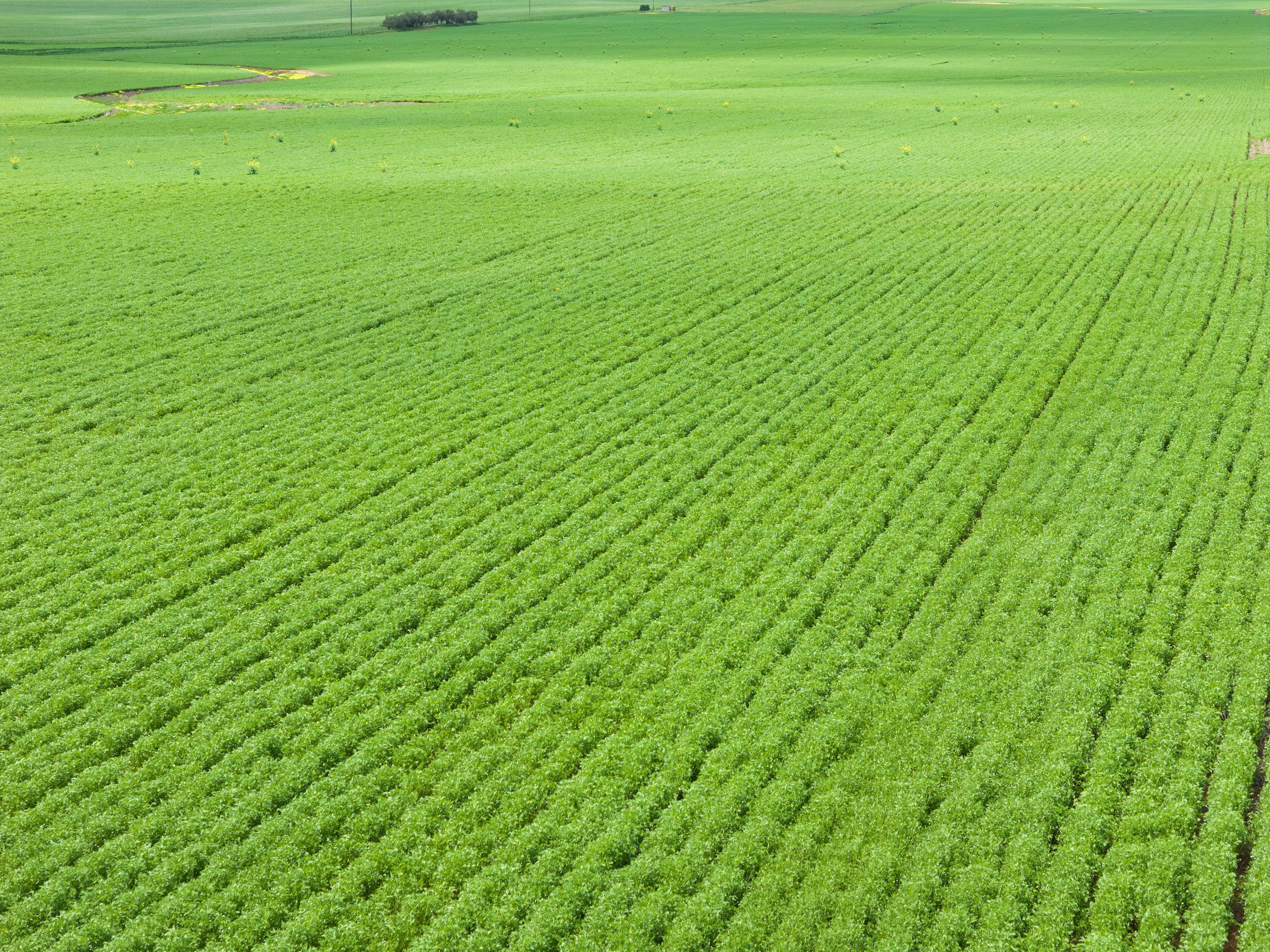 'Stringers' Ireland Road, Mundoora, SA 5555