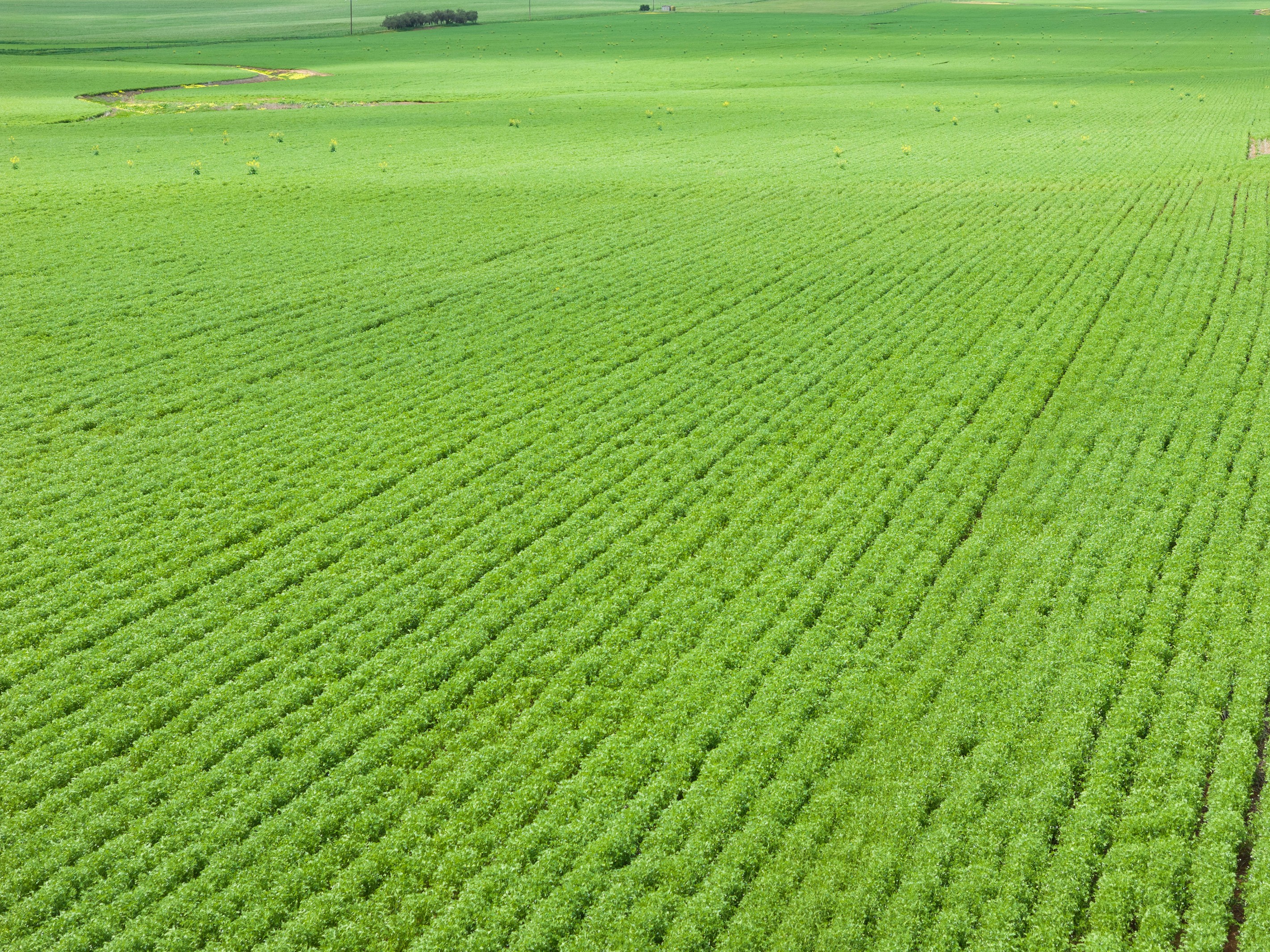 'Stringers' Ireland Road, Mundoora, SA 5555