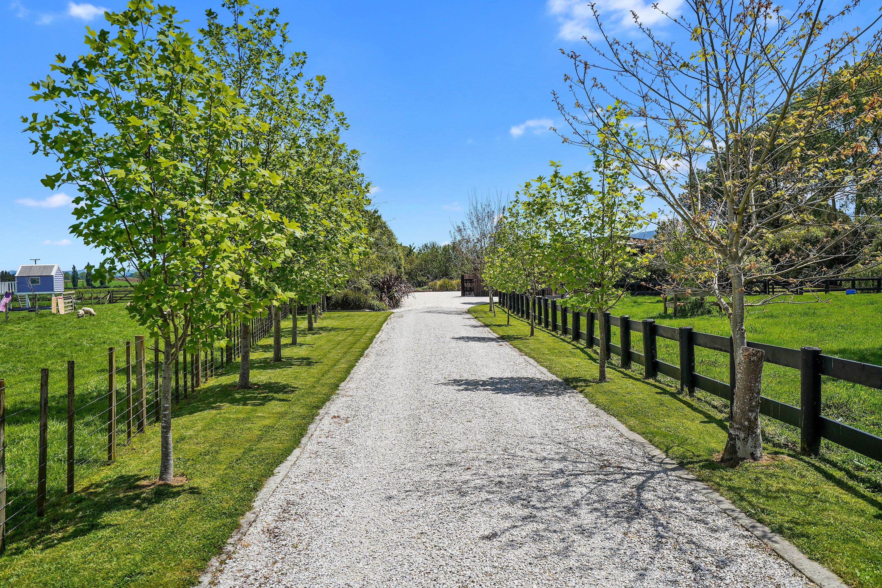 1174 Pokuru Road, Te Awamutu, Waipa District