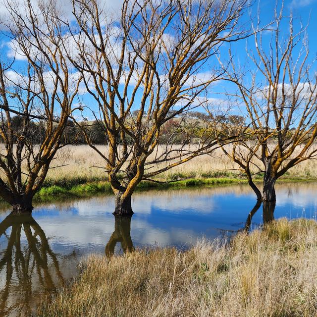 Springrange 1076 Spring Range Road, Springrange, NSW 2618 - Sold House - Ray White ...