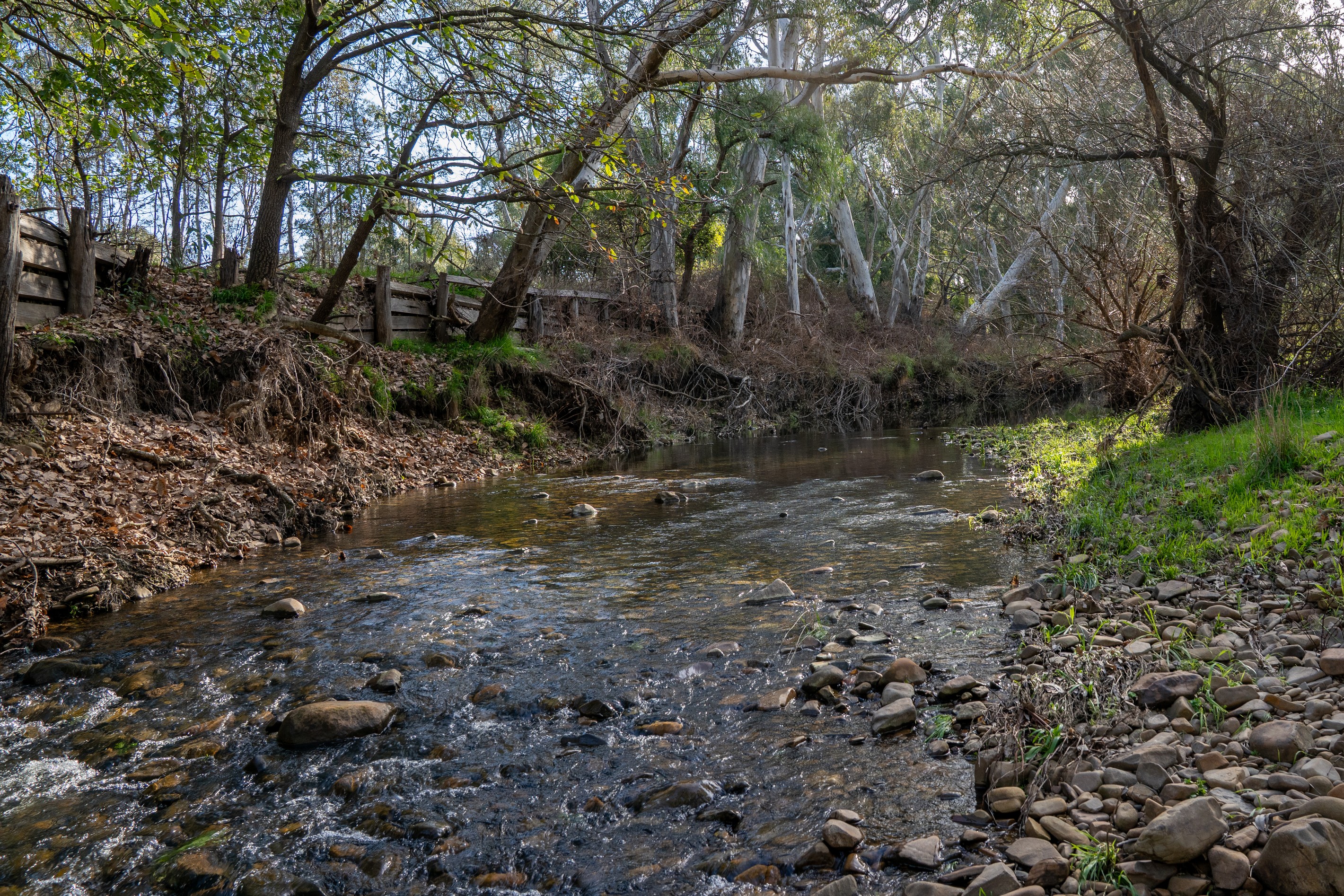 50 Clearview Court, Tallarook, VIC 3659