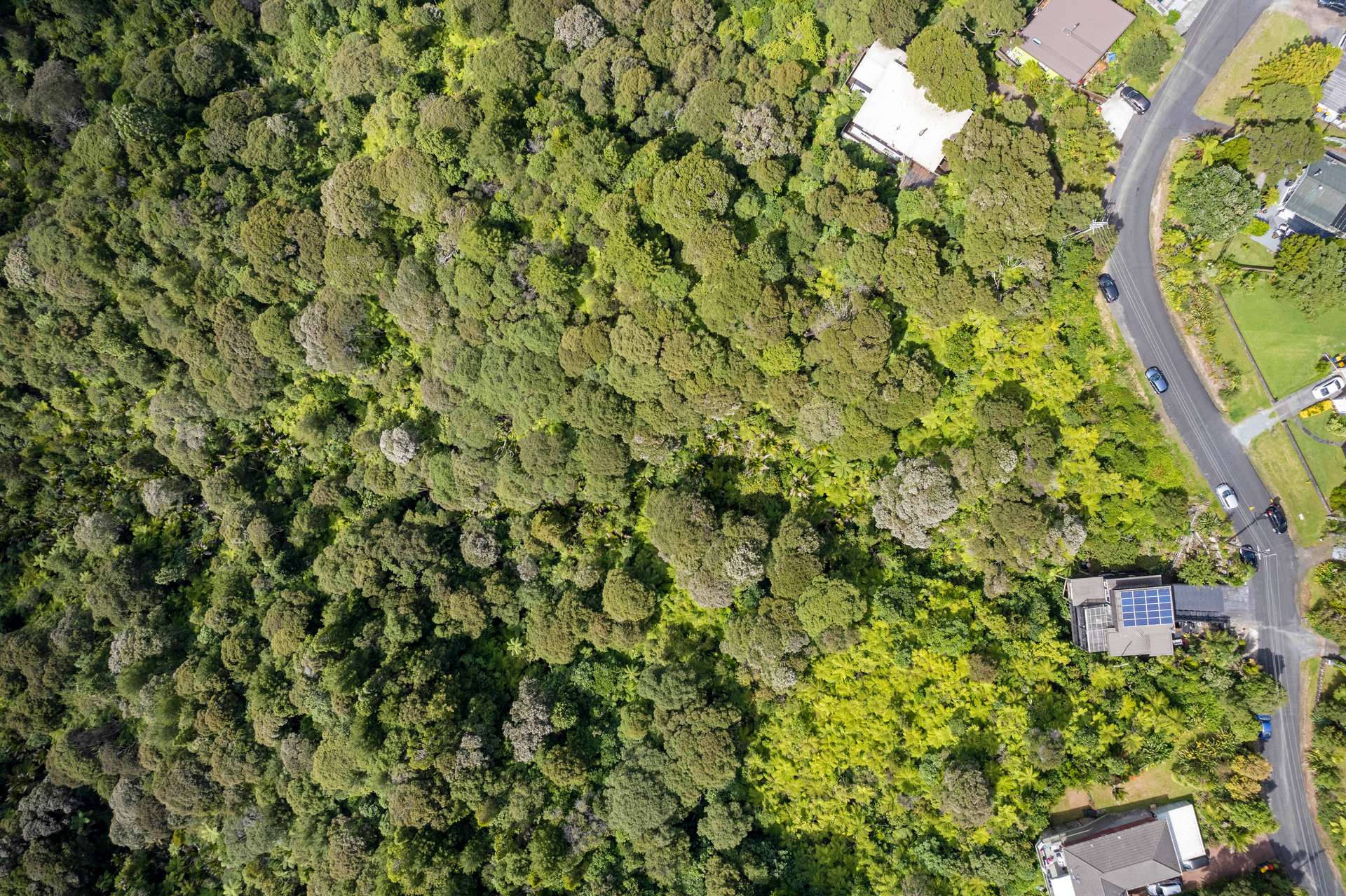 48 Kitewaho Road photo 13