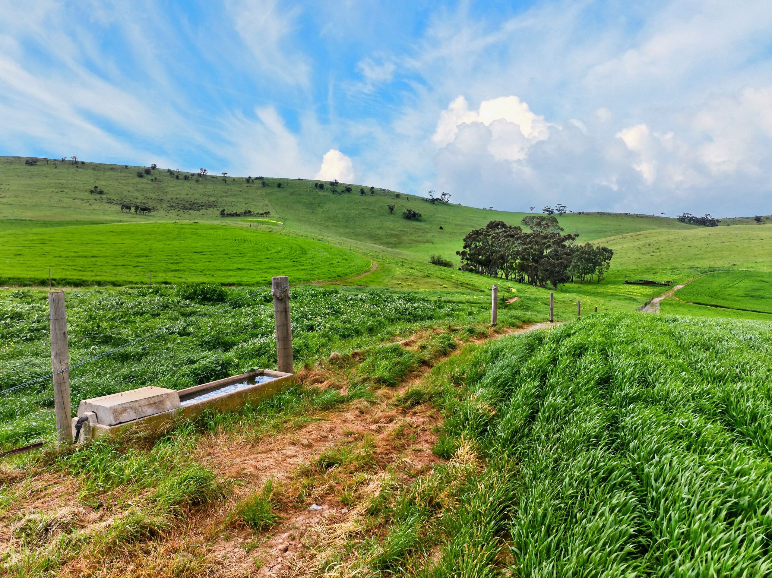 'Schumachers Range' Weichert Road — photo 11 of 11