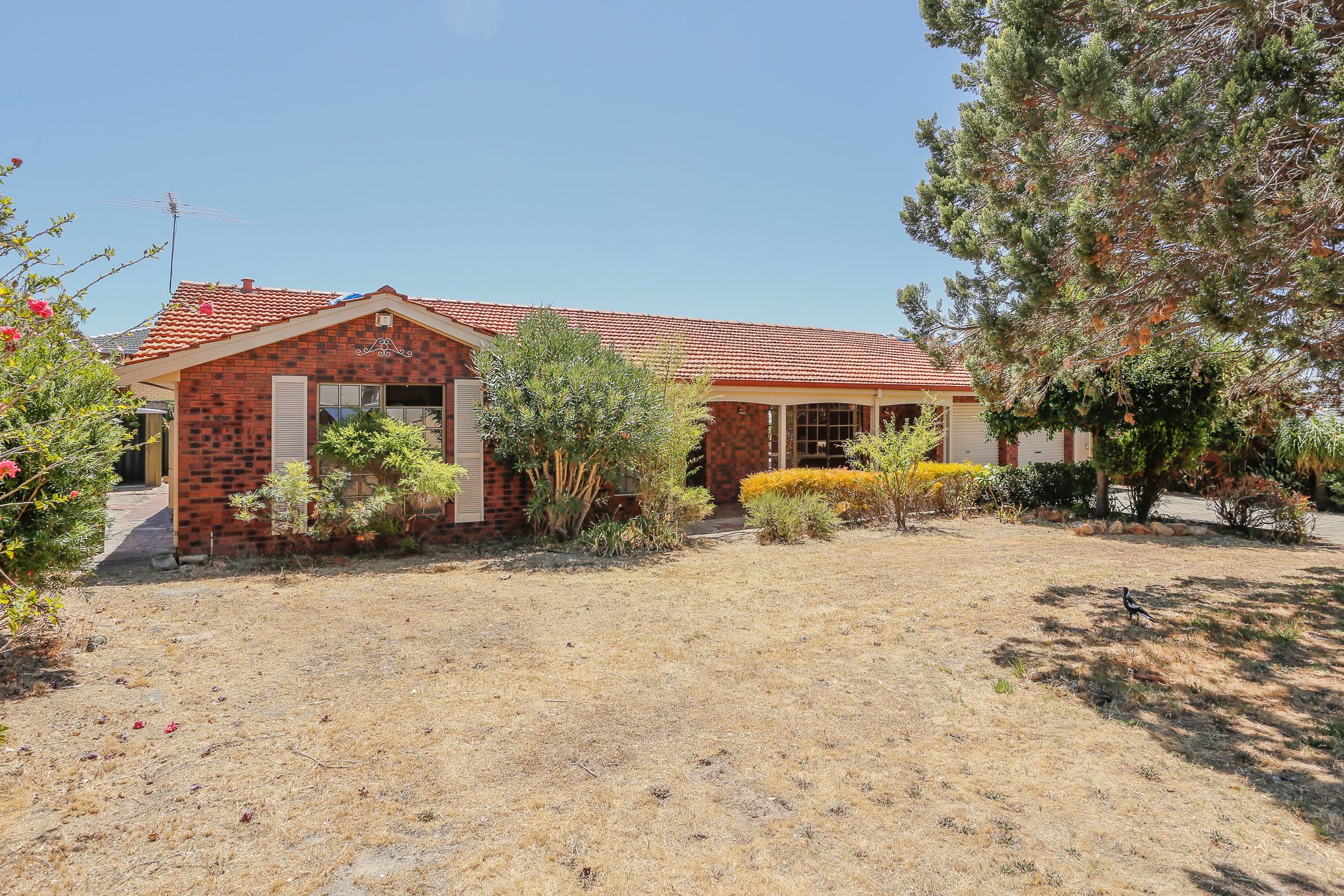 28 Cornhill Crescent, Alexander Heights WA 6064